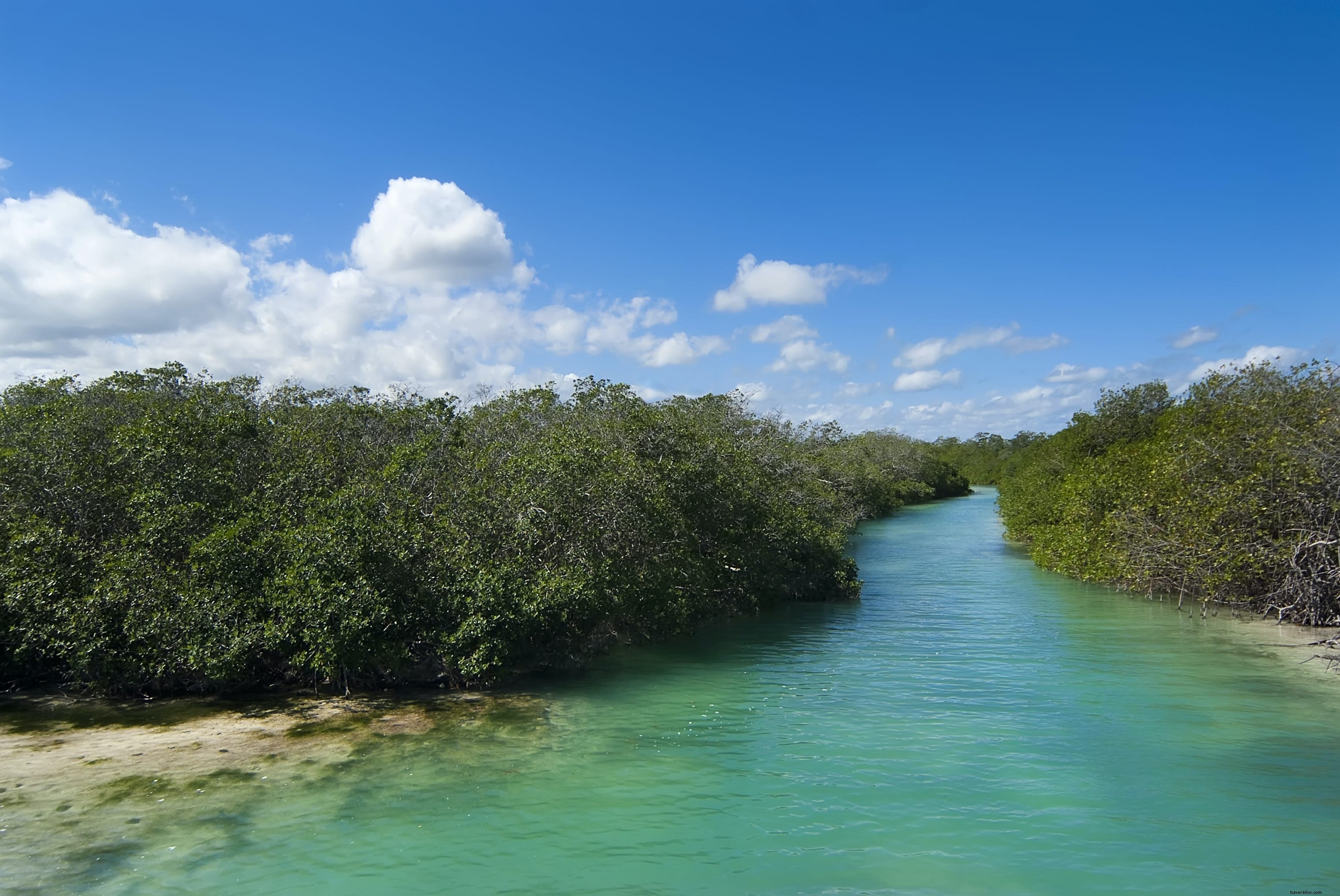 Sian Ka an Biosphere Reserve: Mexico s Premier Caribbean Wilderness Near Tulum