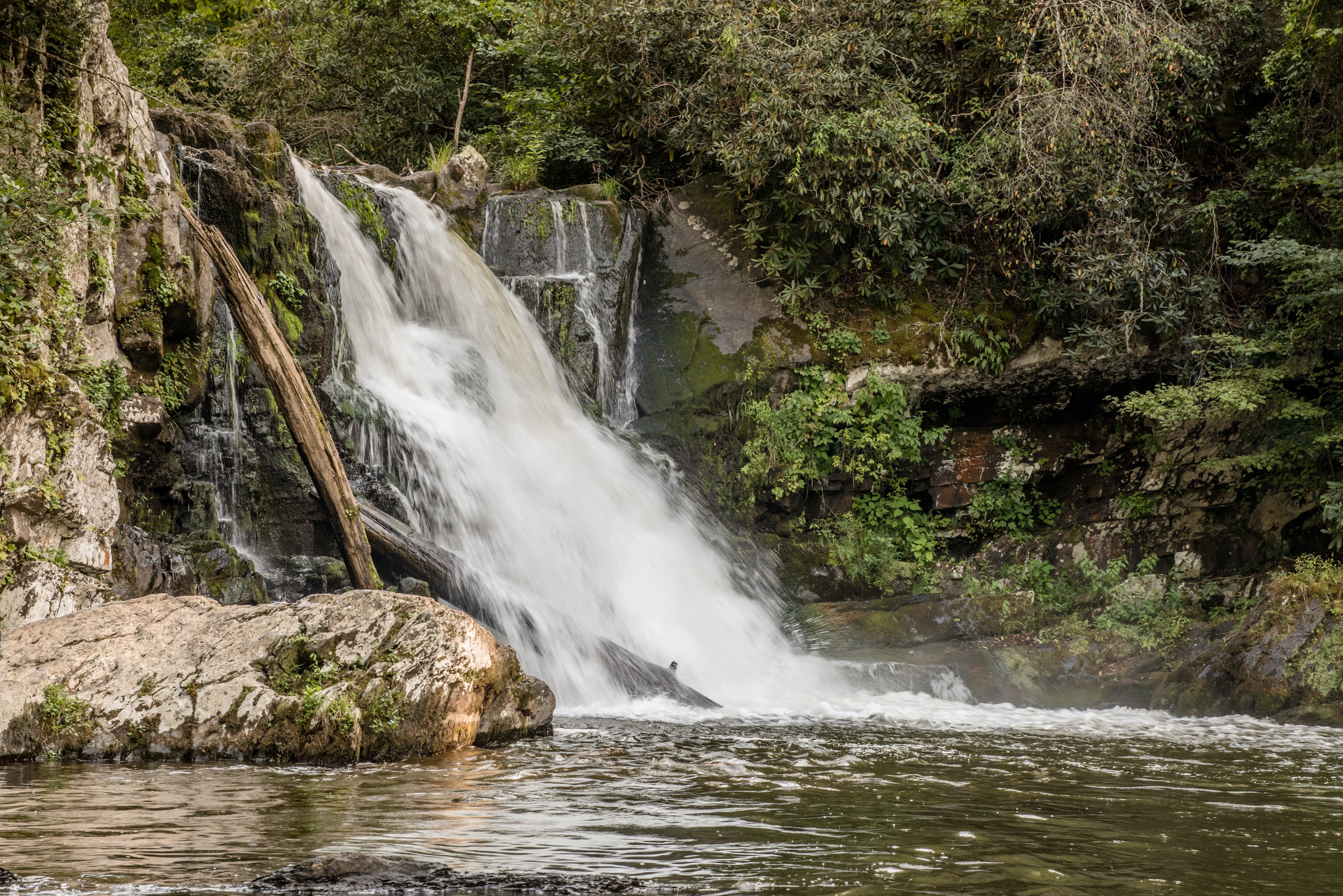 Discover Cades Cove: Historic Valley, Wildlife Haven, and Waterfalls in Great Smoky Mountains National Park