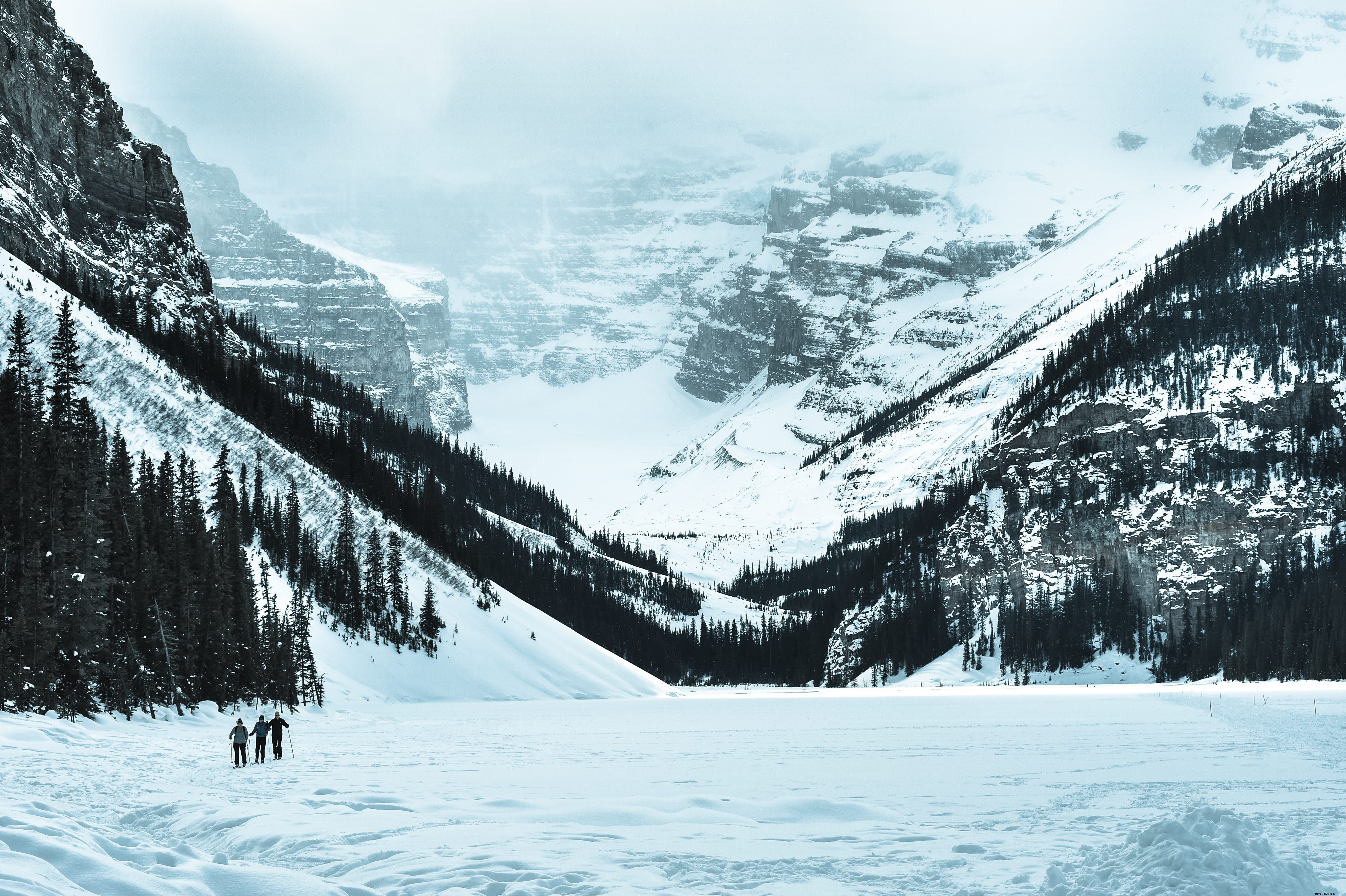 Lake Louise: Banff National Park s Iconic Turquoise Gem and Premier Hiking Destination