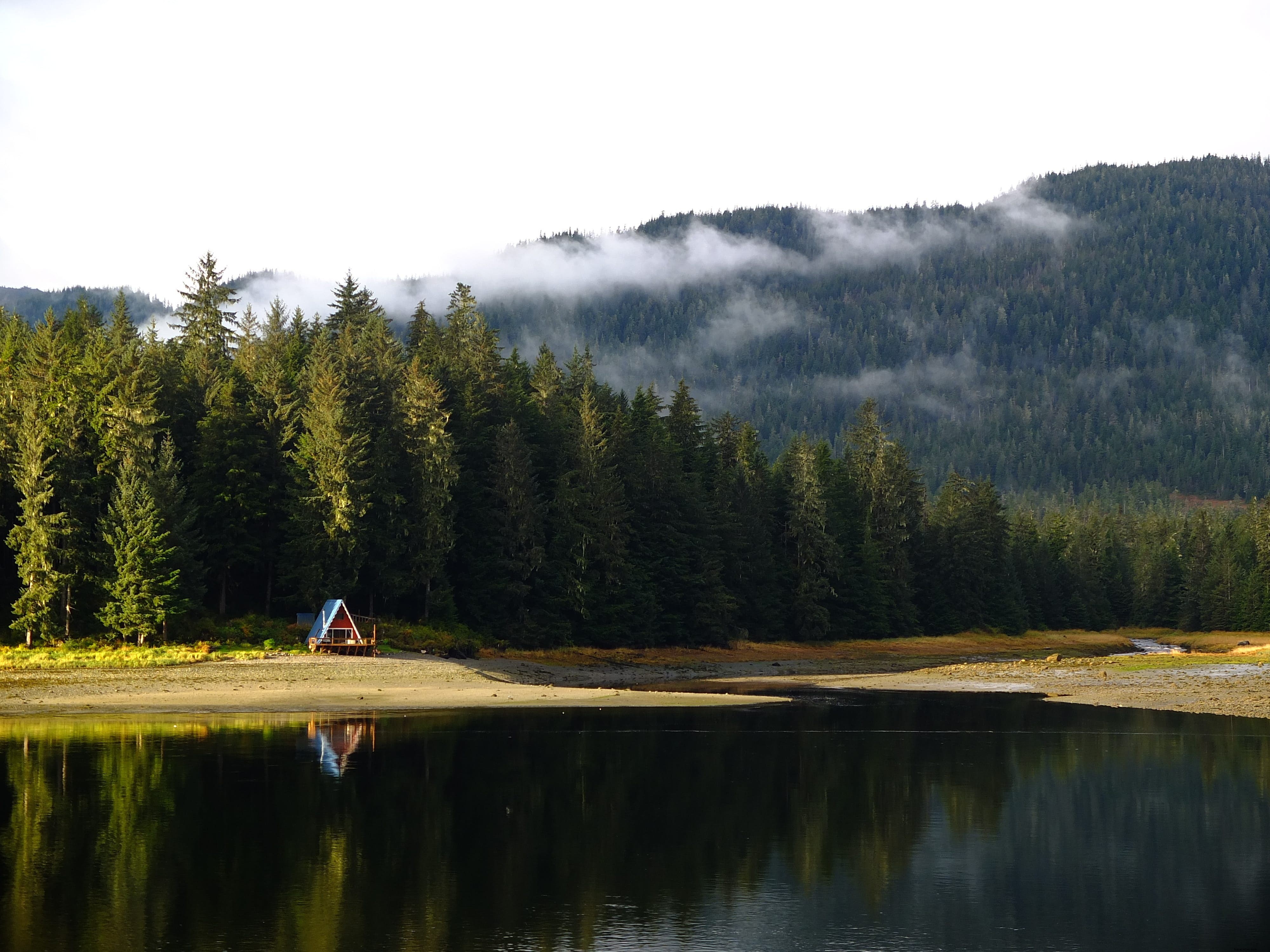 Tongass National Forest: America s Largest Wilderness and Temperate Rainforest