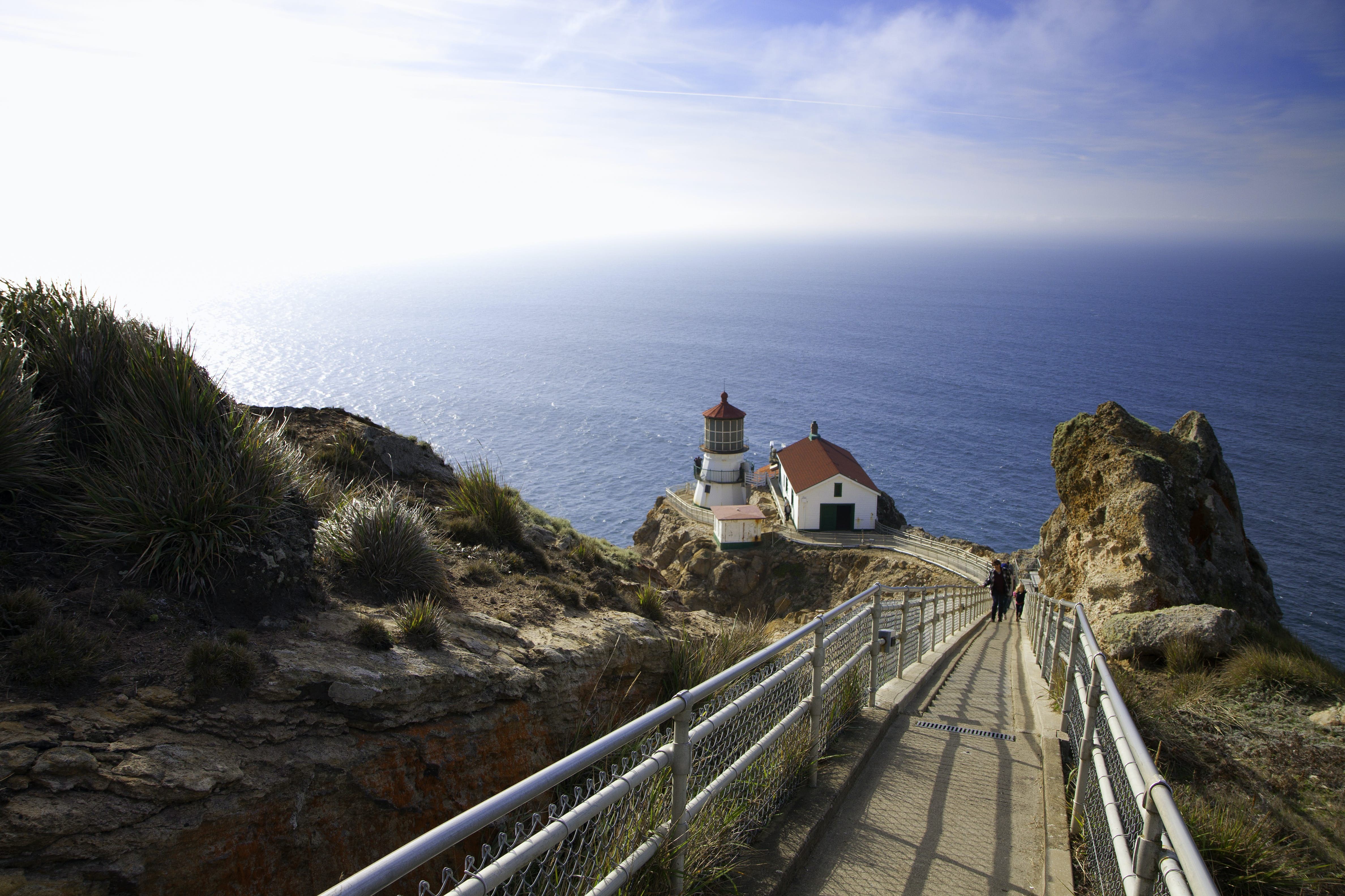 Point Reyes National Seashore: Beaches, Hiking Trails, History & Wildlife Guide