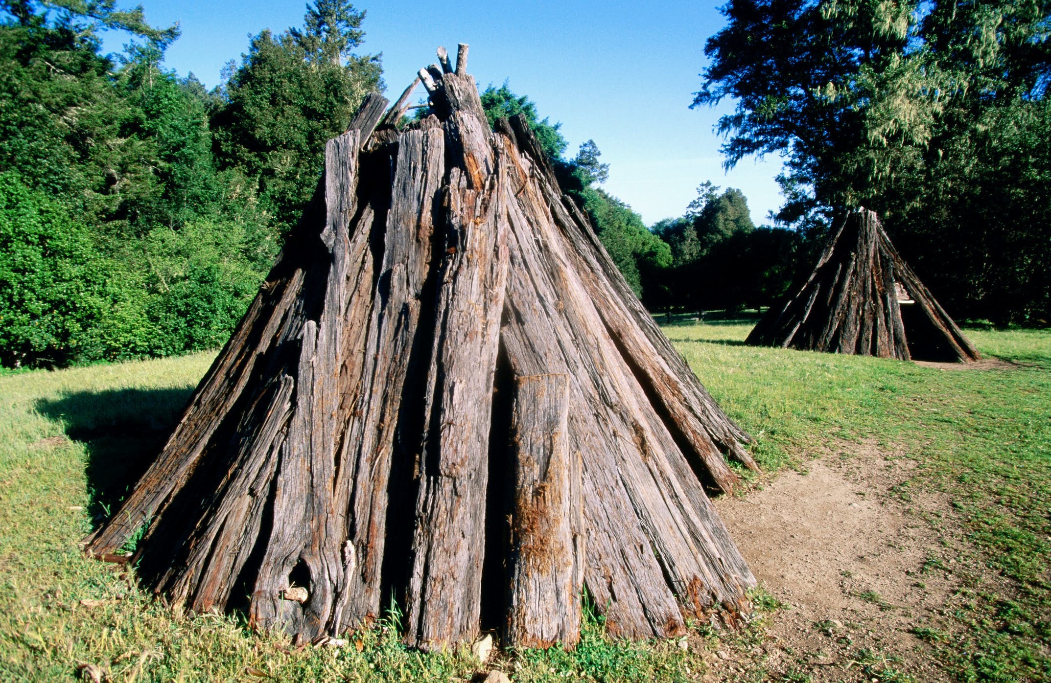 Point Reyes National Seashore: Beaches, Hiking Trails, History & Wildlife Guide