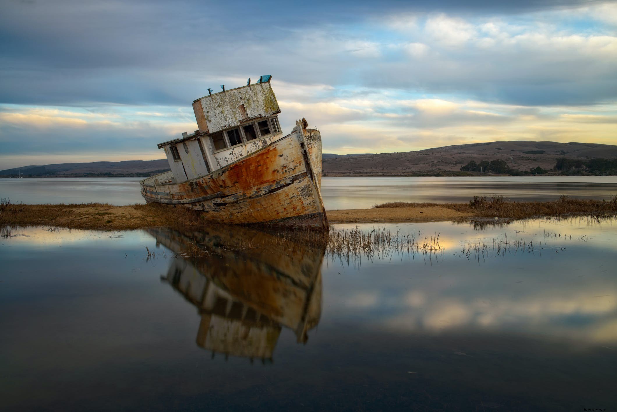 Point Reyes National Seashore: Beaches, Hiking Trails, History & Wildlife Guide