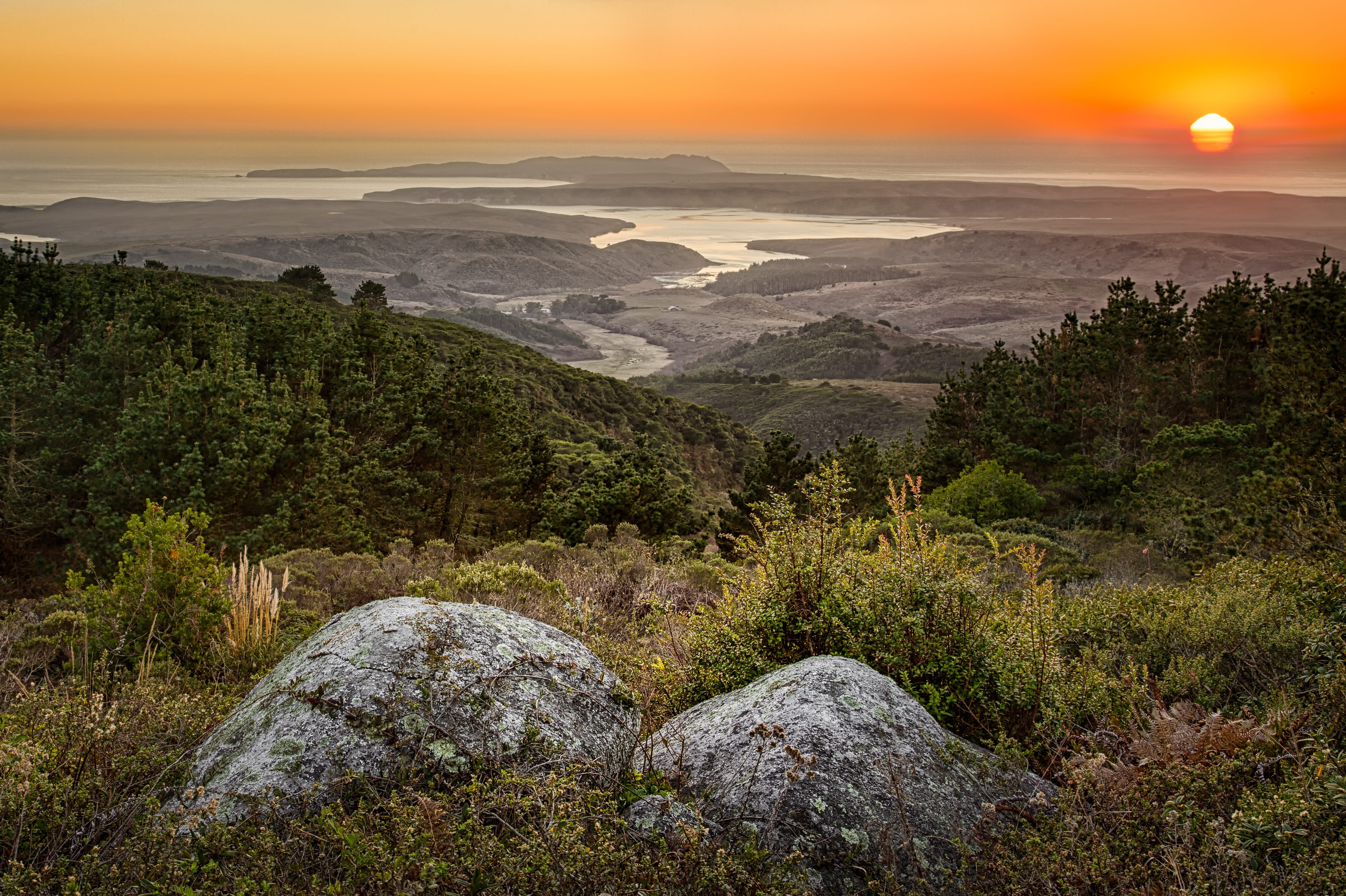 Point Reyes National Seashore: Beaches, Hiking Trails, History & Wildlife Guide