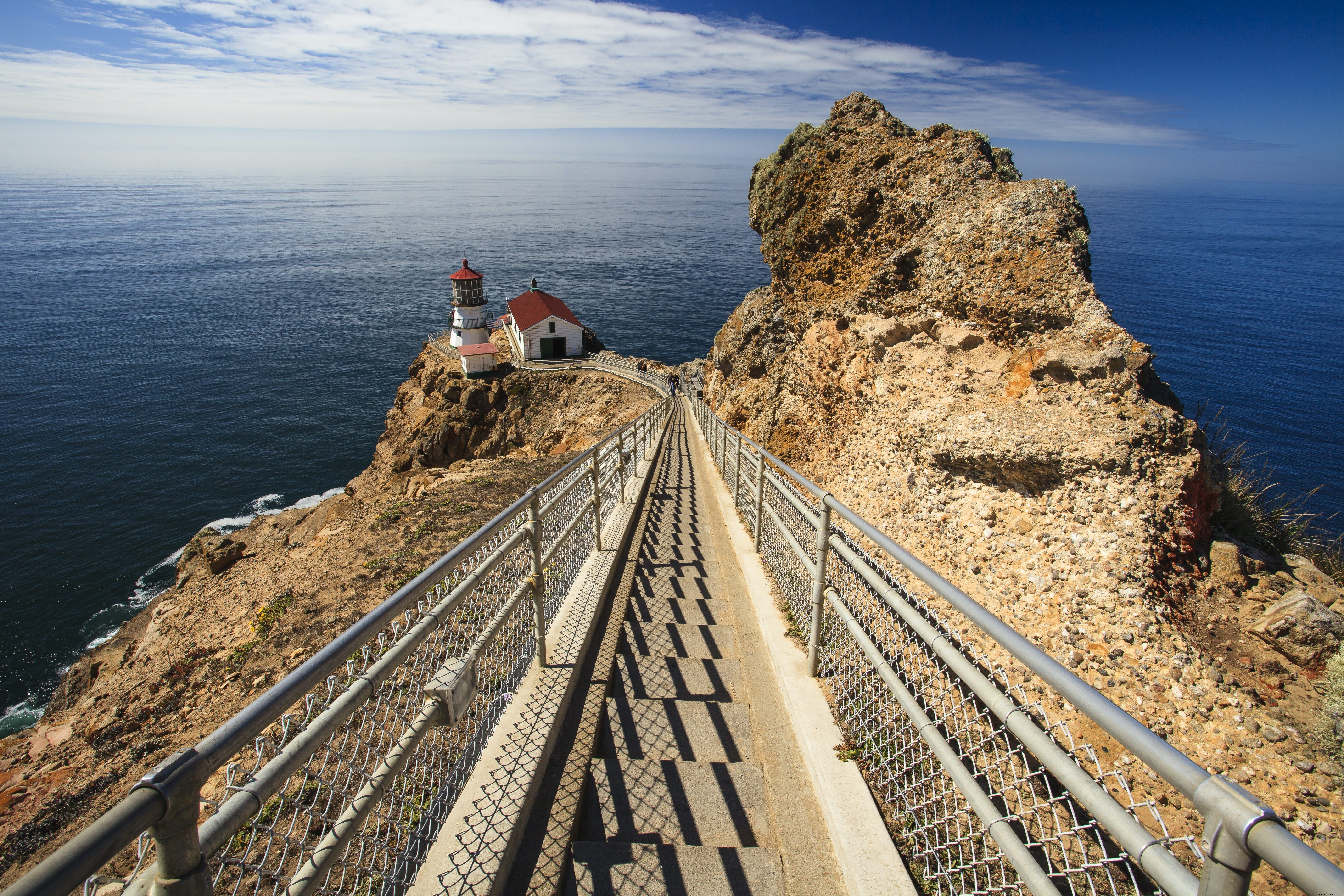 Point Reyes National Seashore: Beaches, Hiking Trails, History & Wildlife Guide
