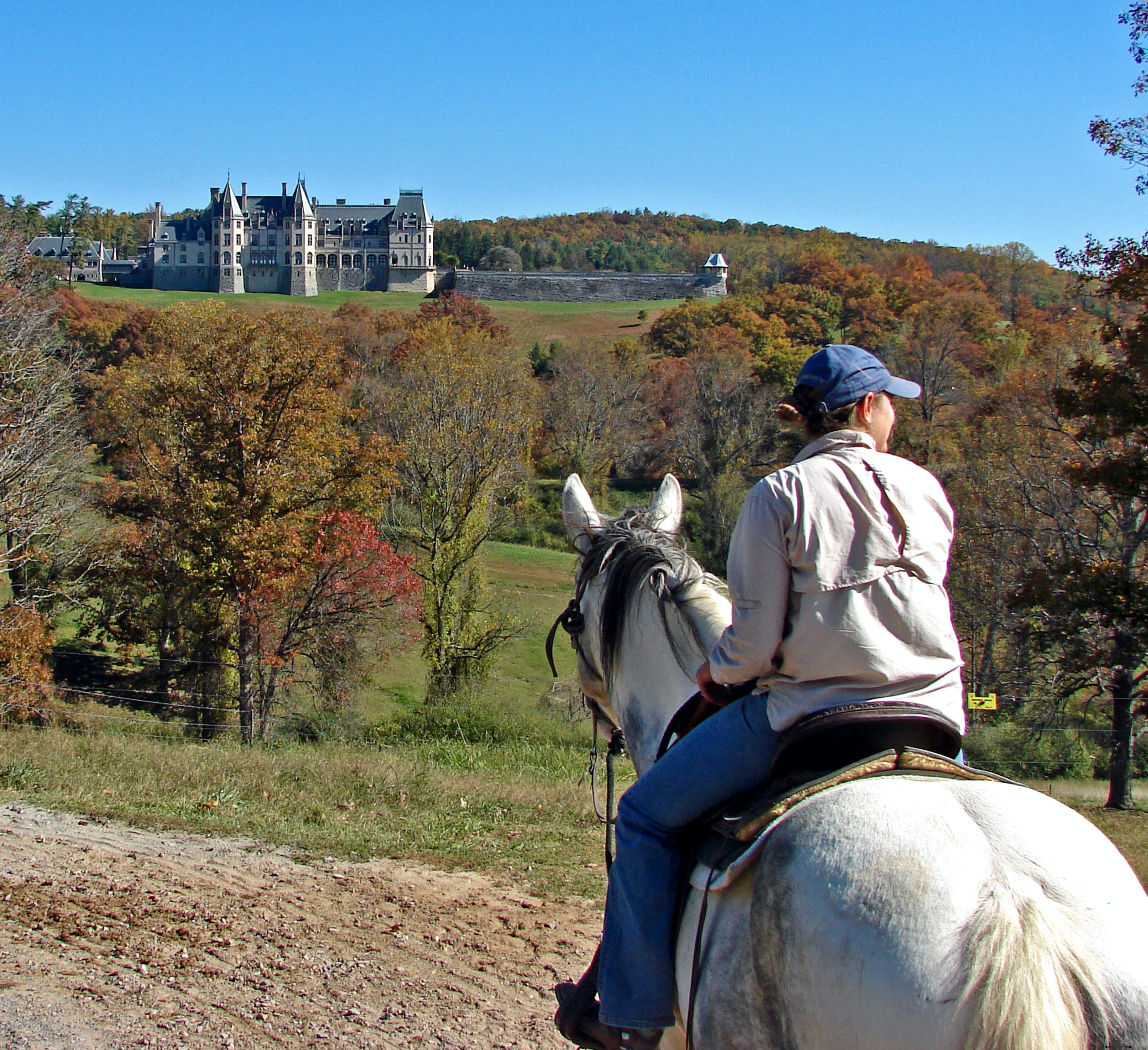 Biltmore Estate Asheville: Complete Guide to History, Tours, Hotels & Visitor Tips