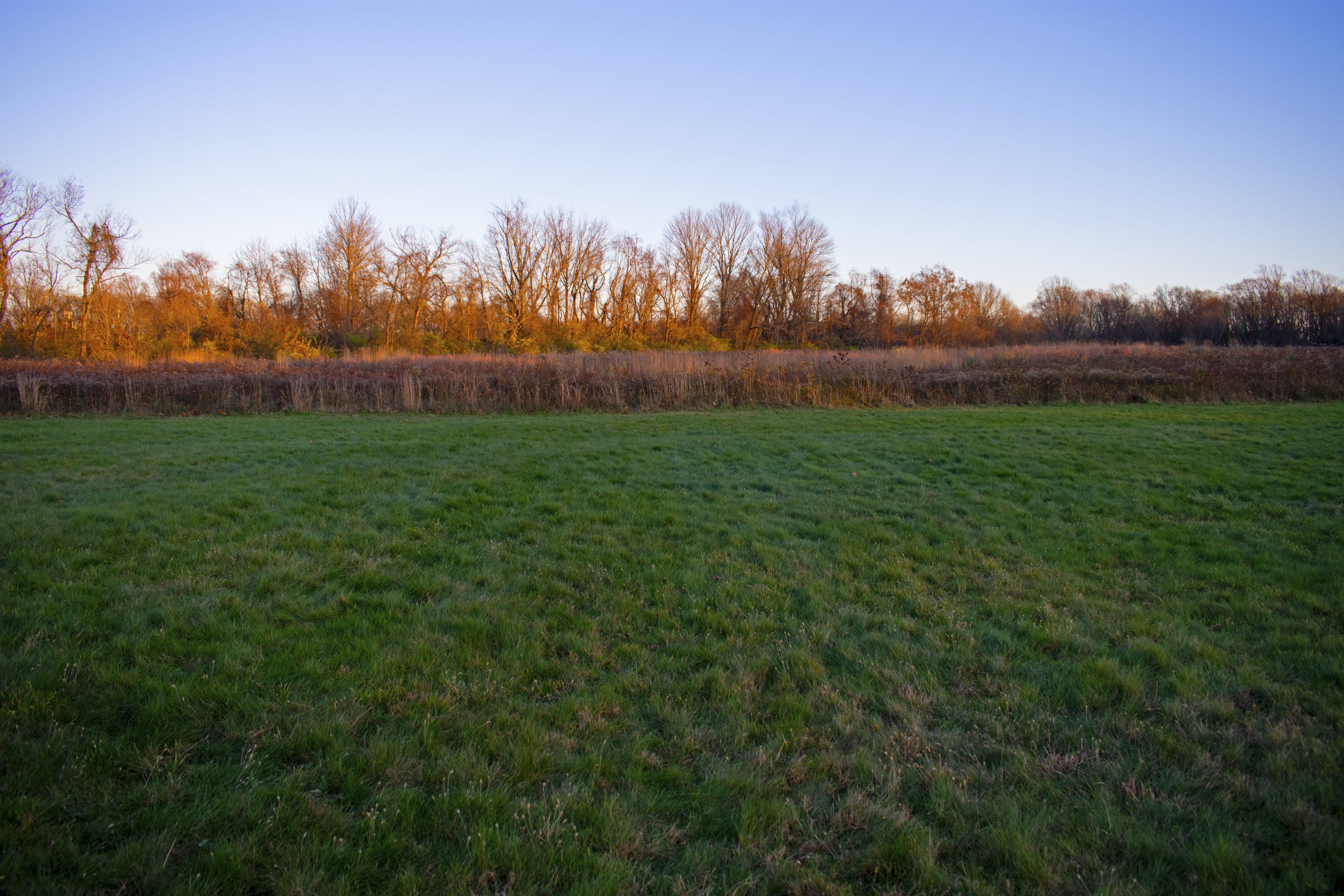 Institute Woods: A Serene 589-Acre Forest Haven for Trails and Birdwatching Near Princeton