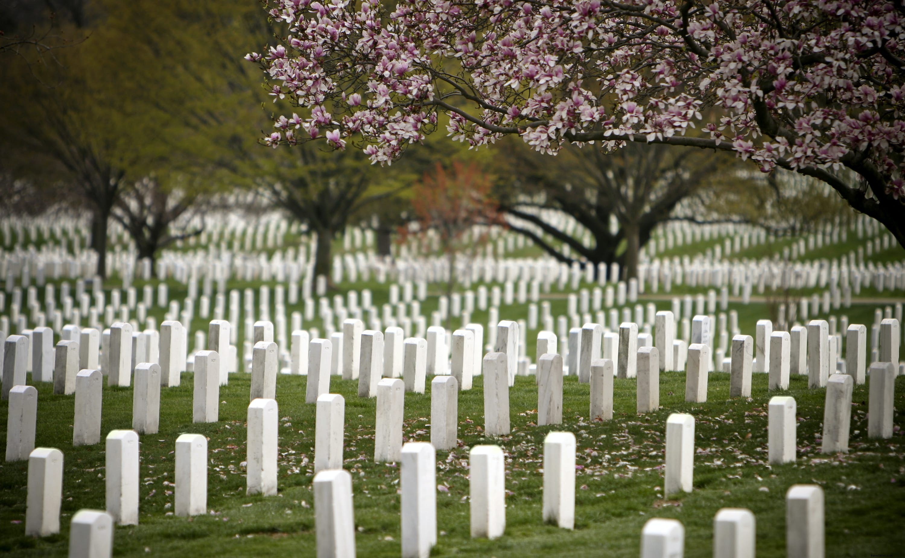 Arlington National Cemetery: Honoring America s Heroes – History, Highlights & Visitor Guide