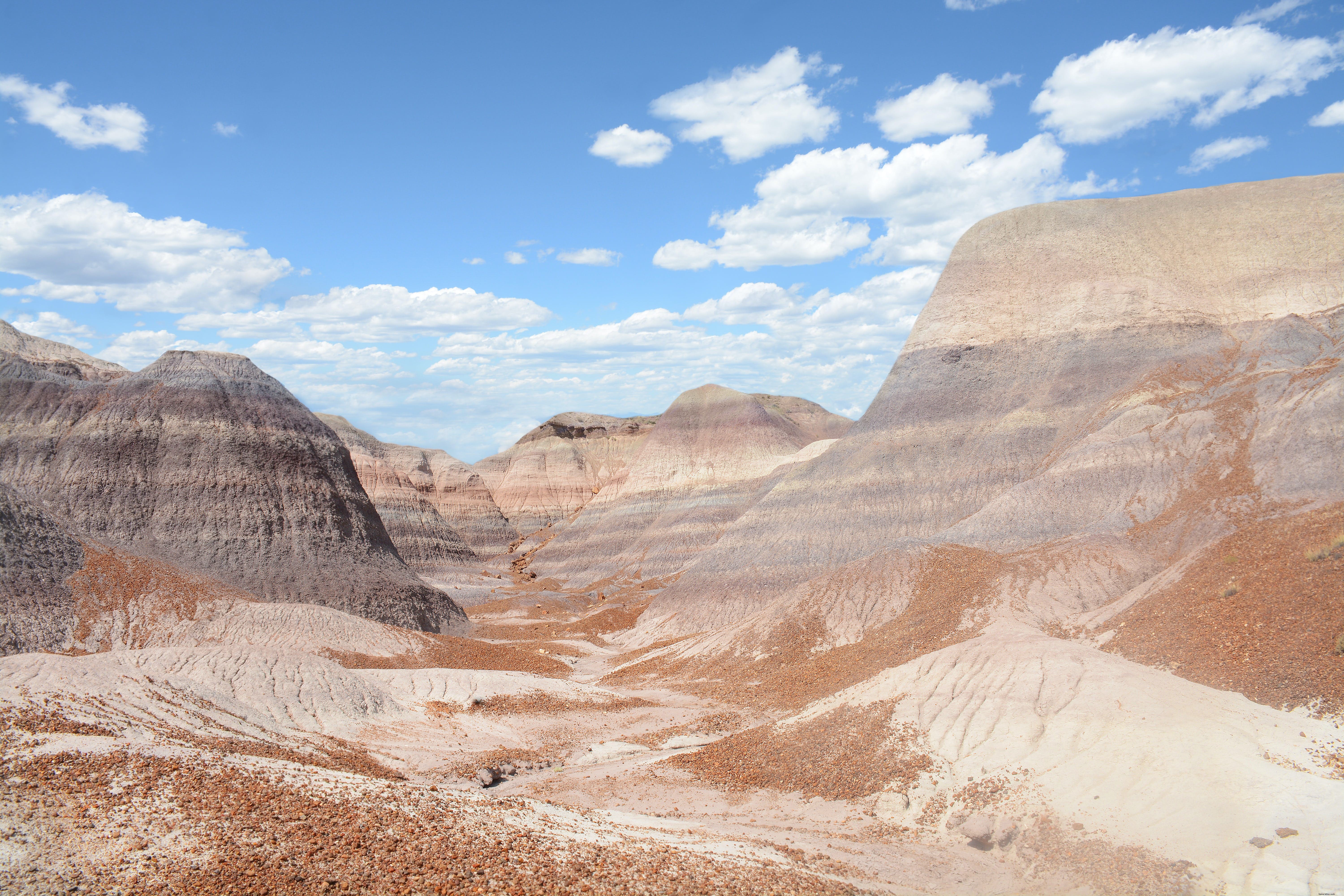 Airport Mesa in Sedona: Premier Vortex Site with Stunning Hikes and 360° Views