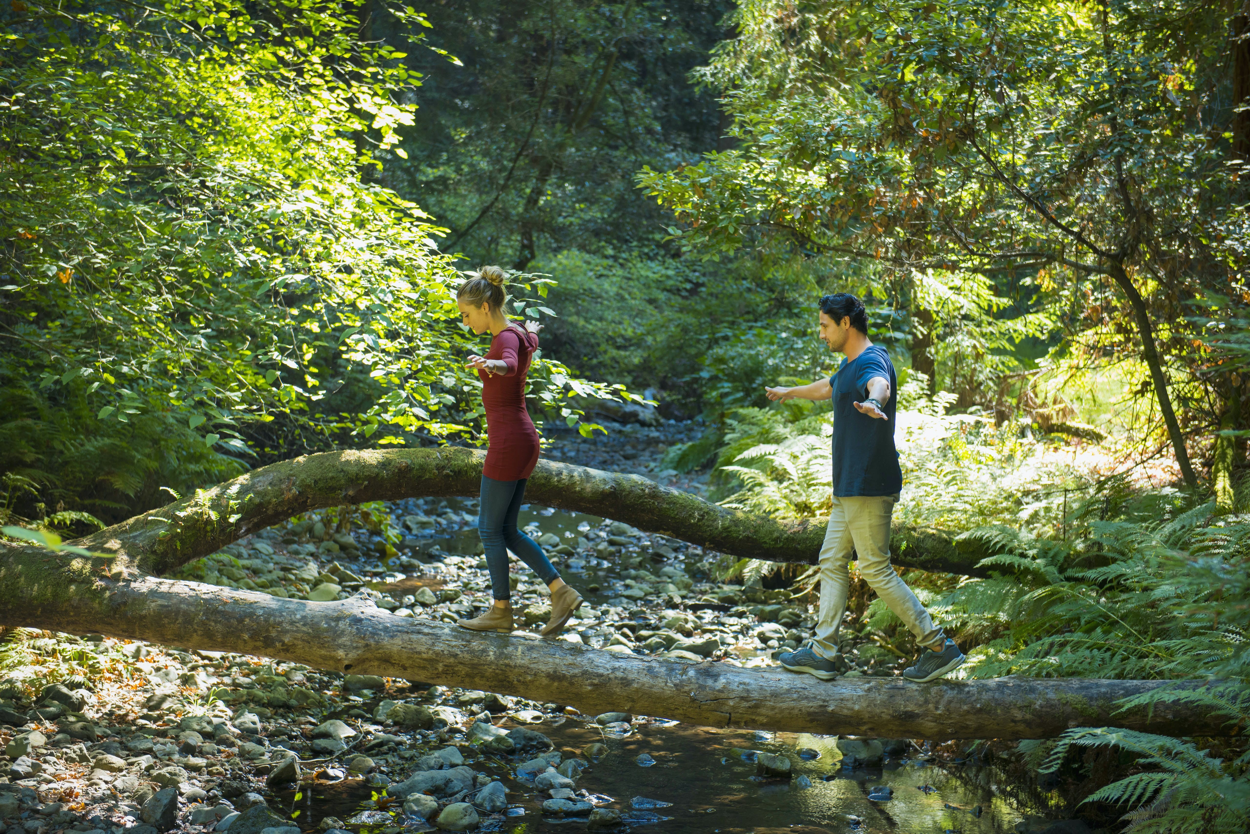 Muir Woods National Monument: Ancient Redwoods and Easy Hikes Near San Francisco