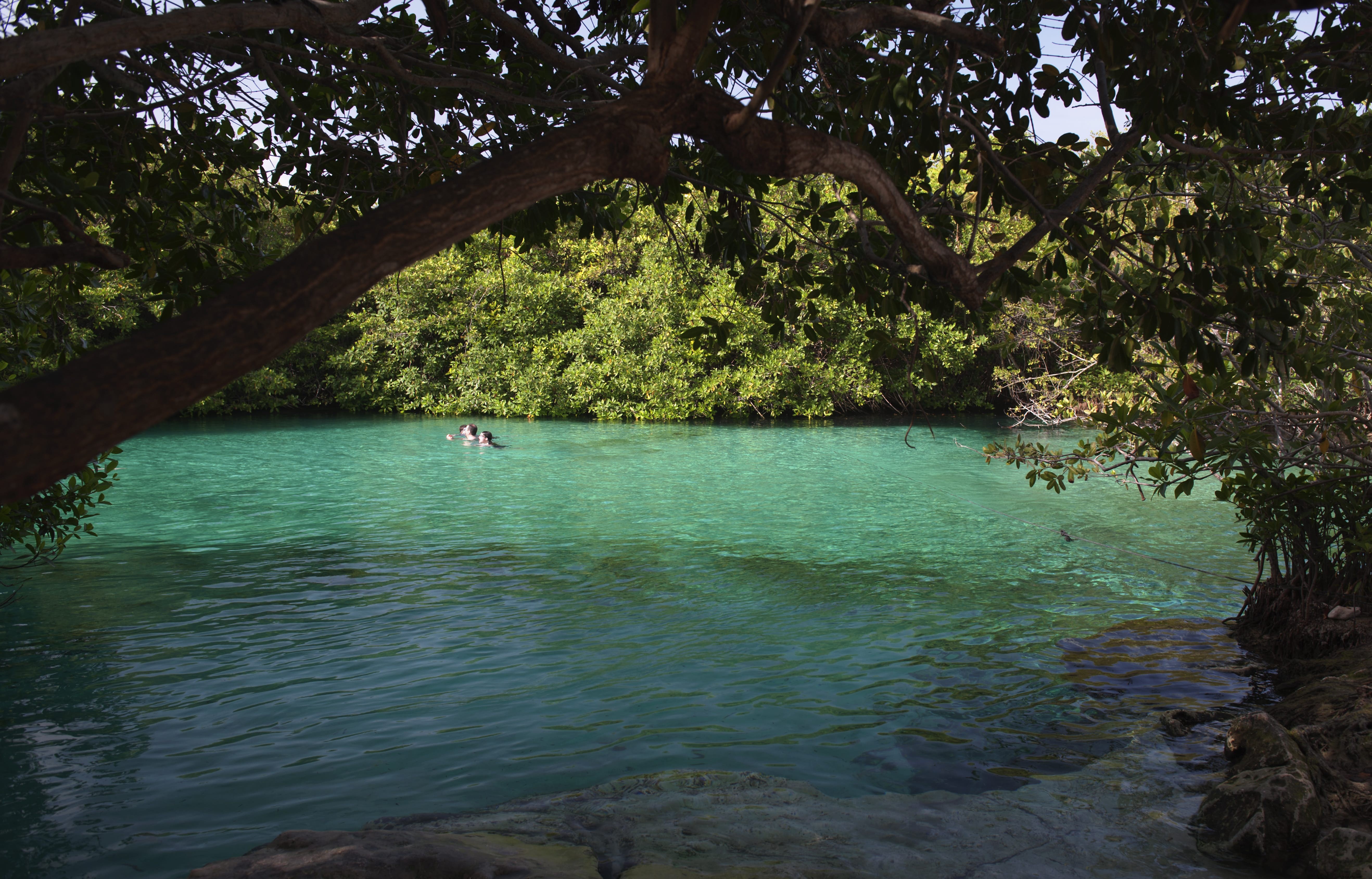 Tankah Tres Guide: Cenote Manatí s Mangrove Lagoon, Snorkeling, and Riviera Maya Adventures