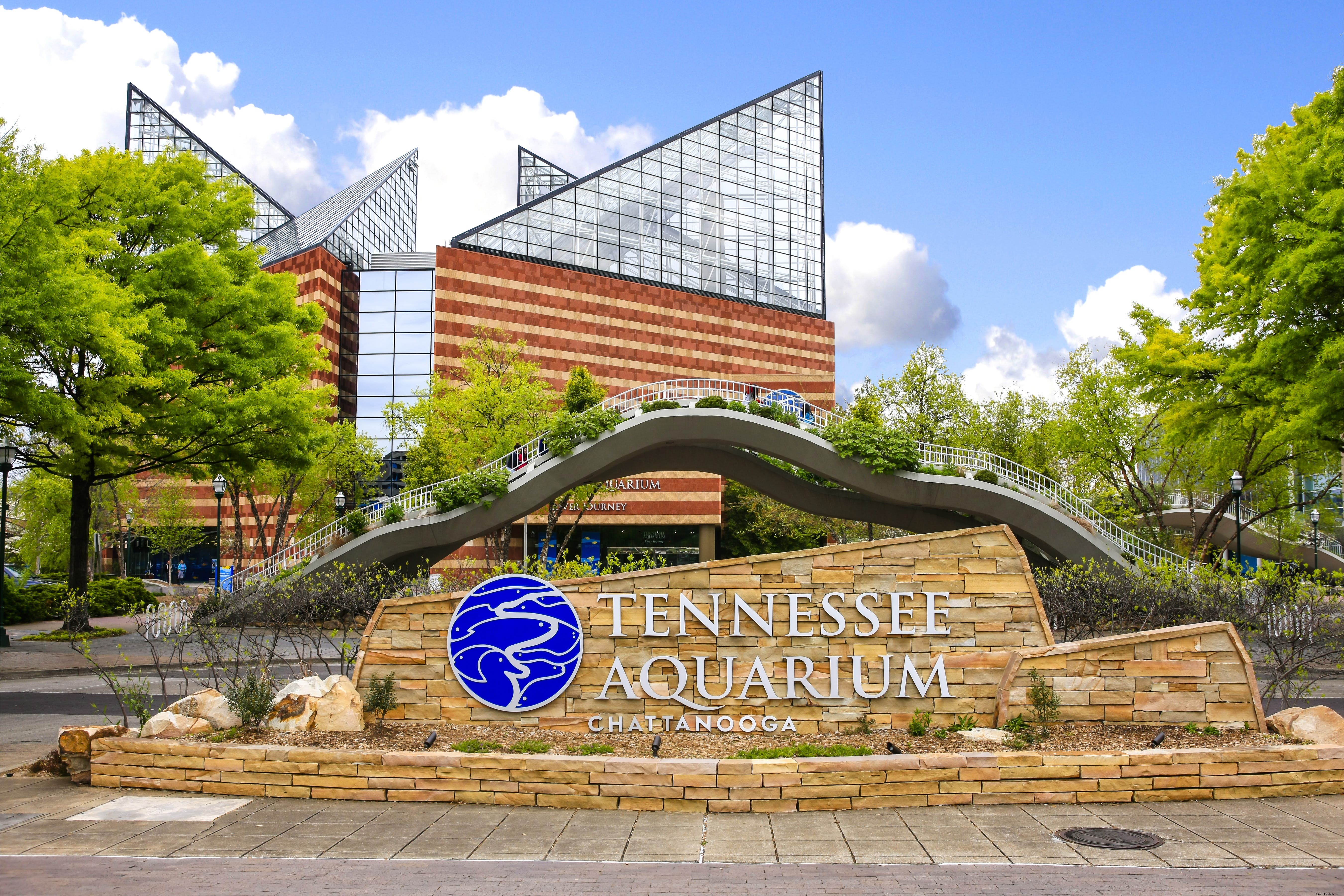 Tennessee Aquarium: Chattanooga s Premier Destination for Marine Wonders
