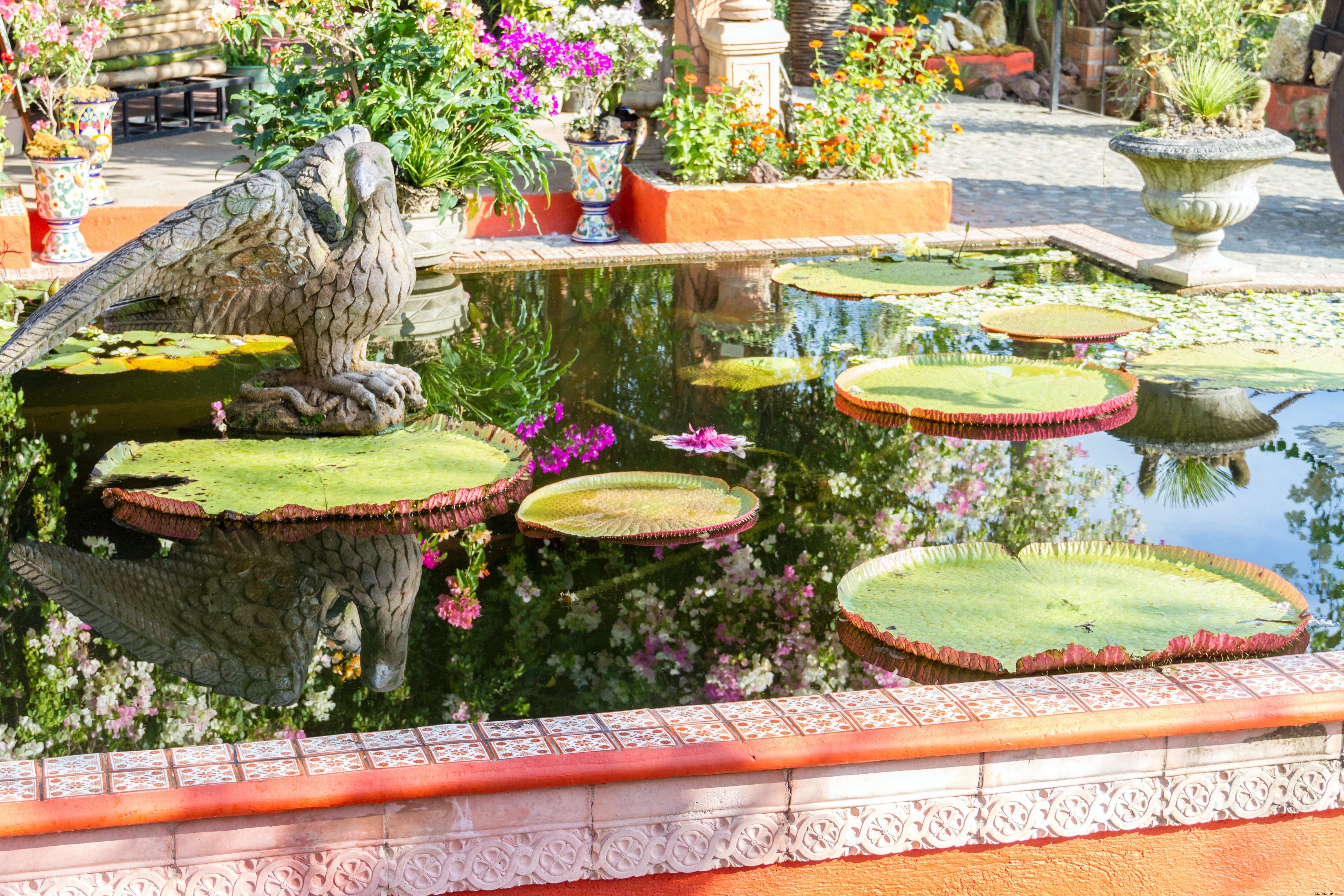 Jardín Botánico de Vallarta: Puerto Vallarta s Premier Tropical Botanical Gardens