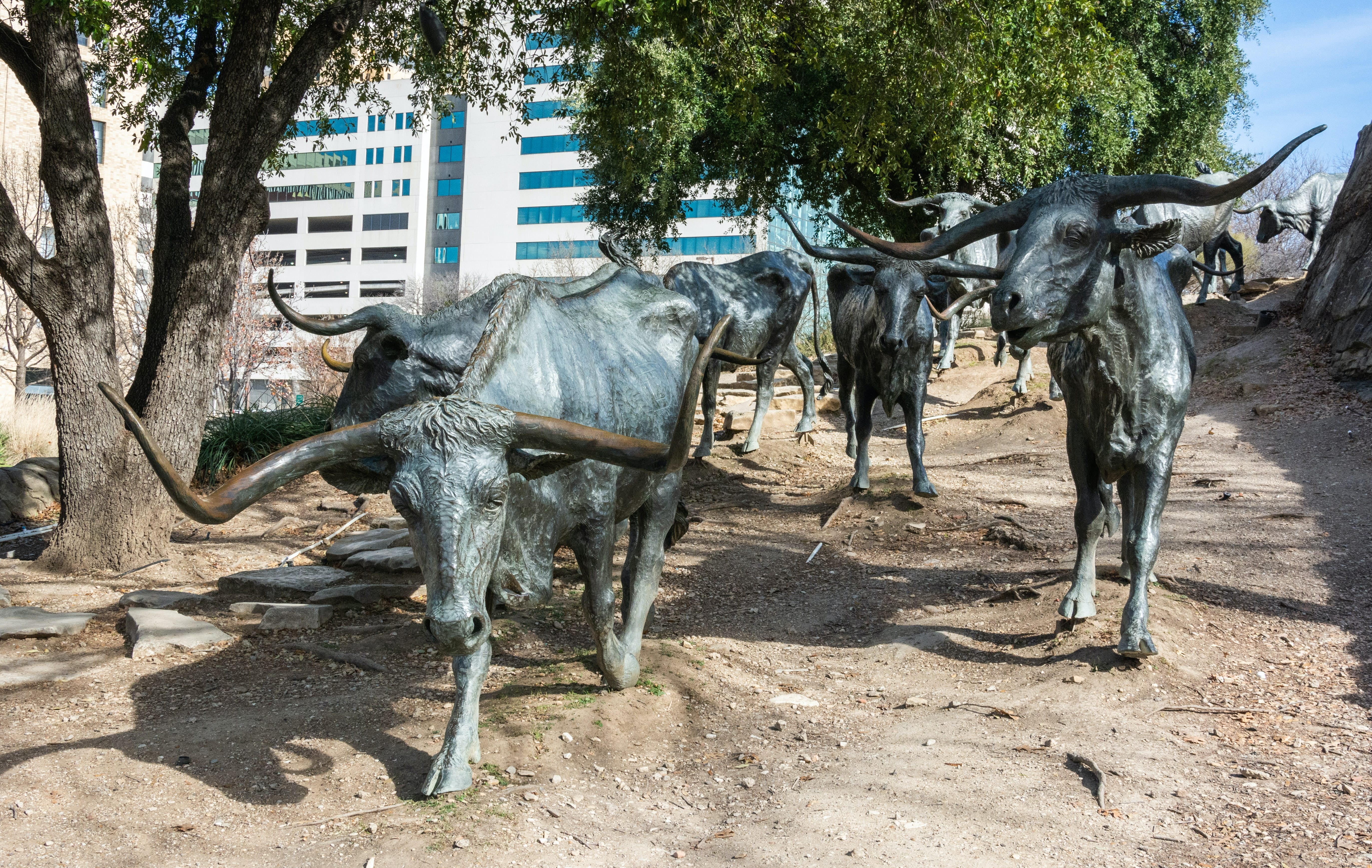 Pioneer Plaza in Dallas: World s Largest Bronze Cattle Monument and Historic Cemetery