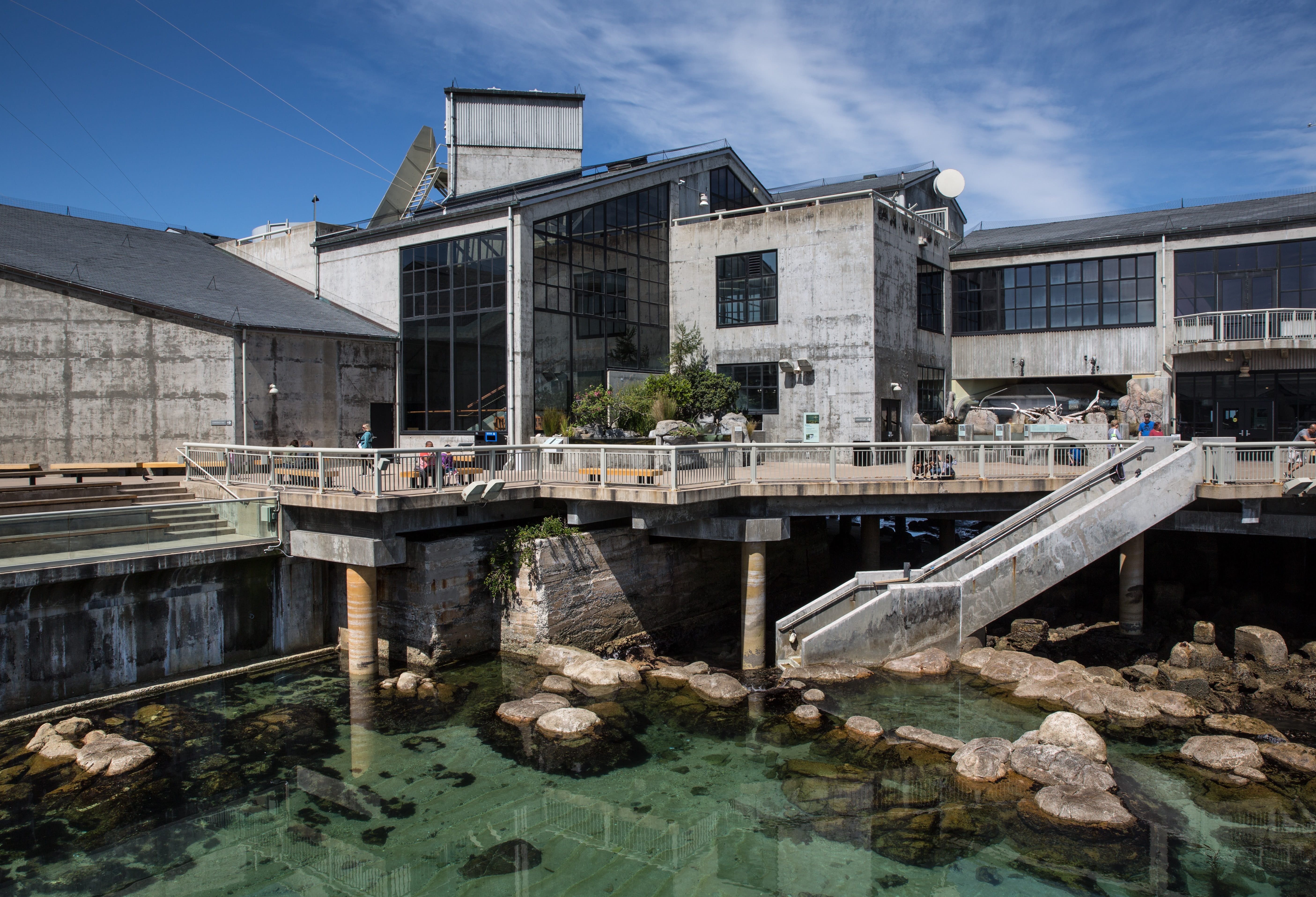 Monterey Bay Aquarium: World-Class Marine Exhibits and Visitor Guide