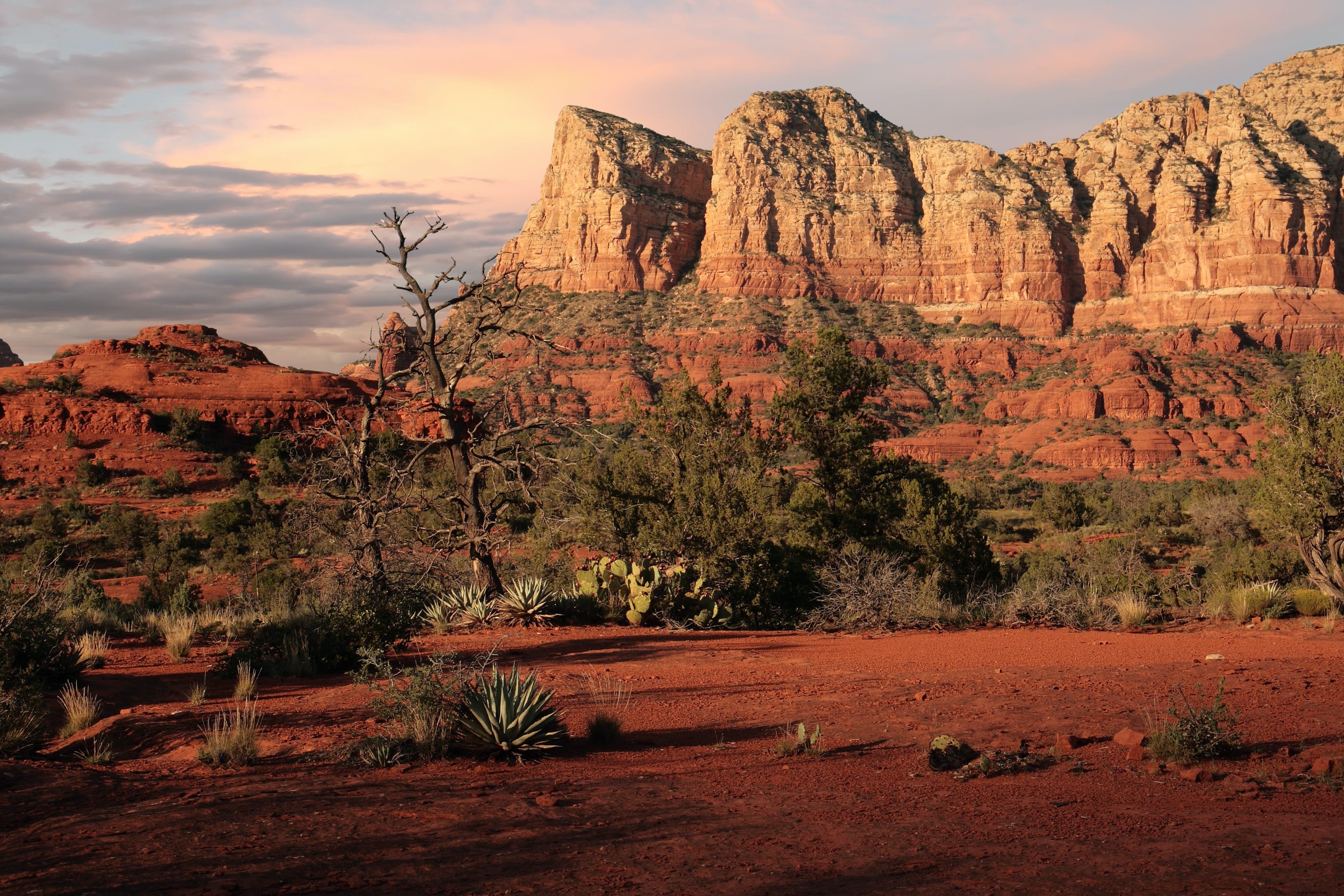 Red Rock State Park: Sedona s Premier Preserve for Hiking, History, and Wildlife