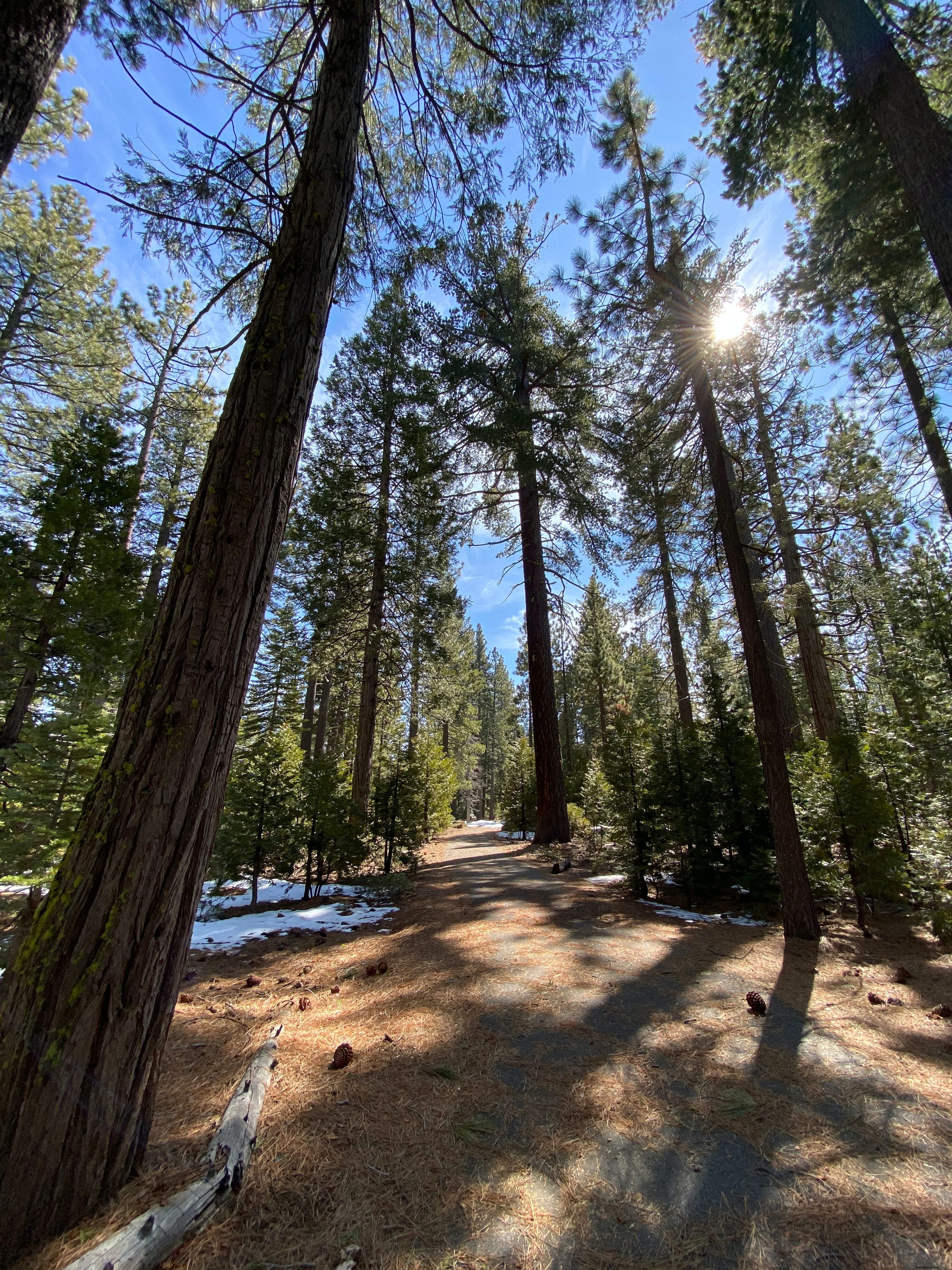 Ed Z’berg Sugar Pine Point State Park: Lake Tahoe s Premier West Shore Destination