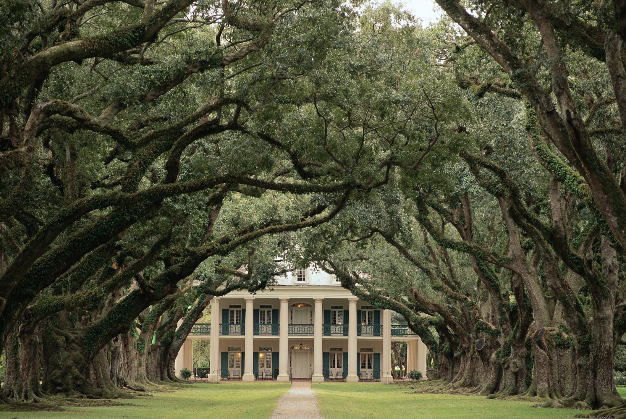 Oak Alley Plantation: Iconic Oaks, Historic Mansion, and Stories of Enslaved Labor