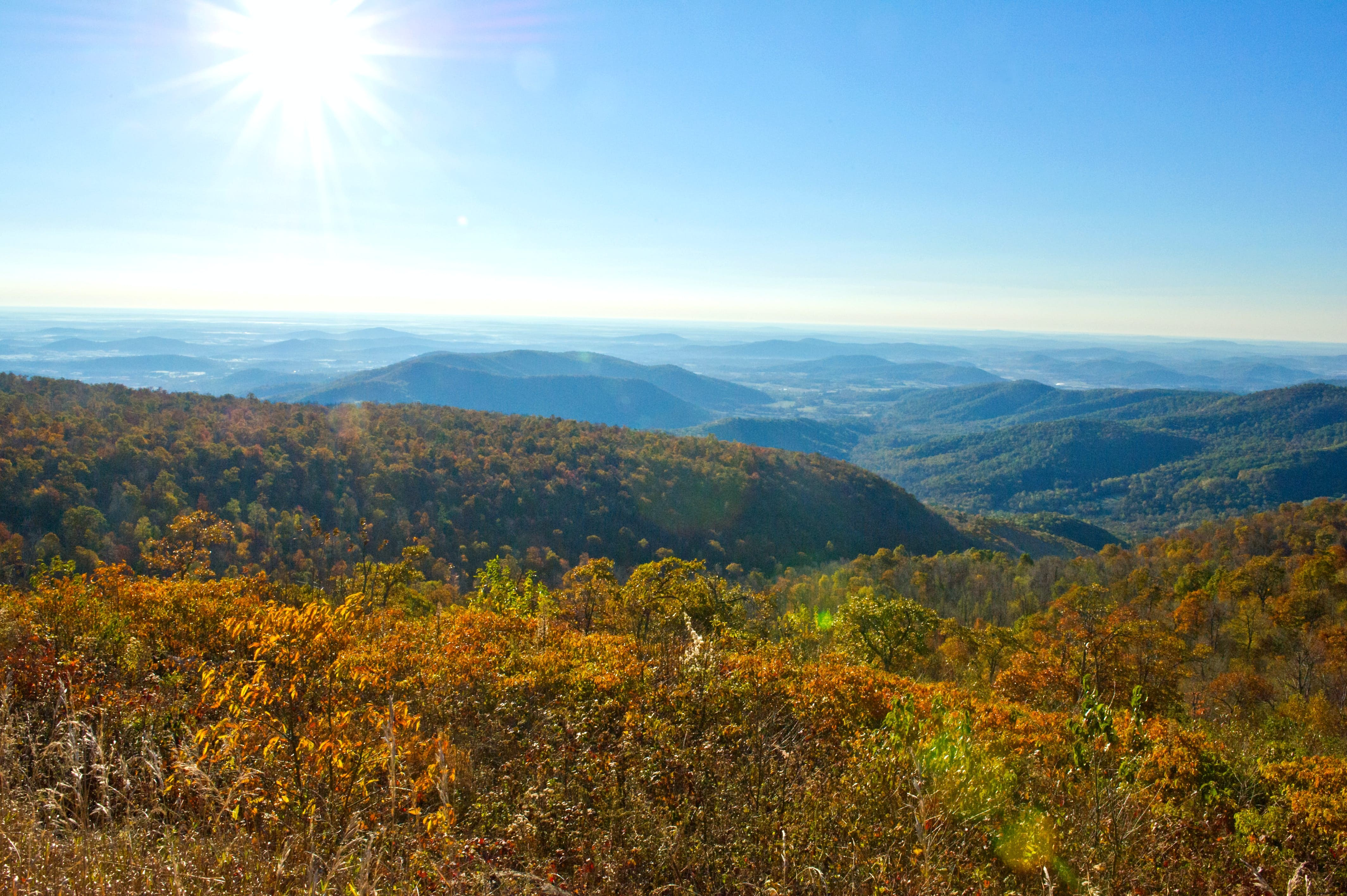 Shenandoah National Park: Stunning Blue Ridge Beauty, Epic Trails & Wildlife