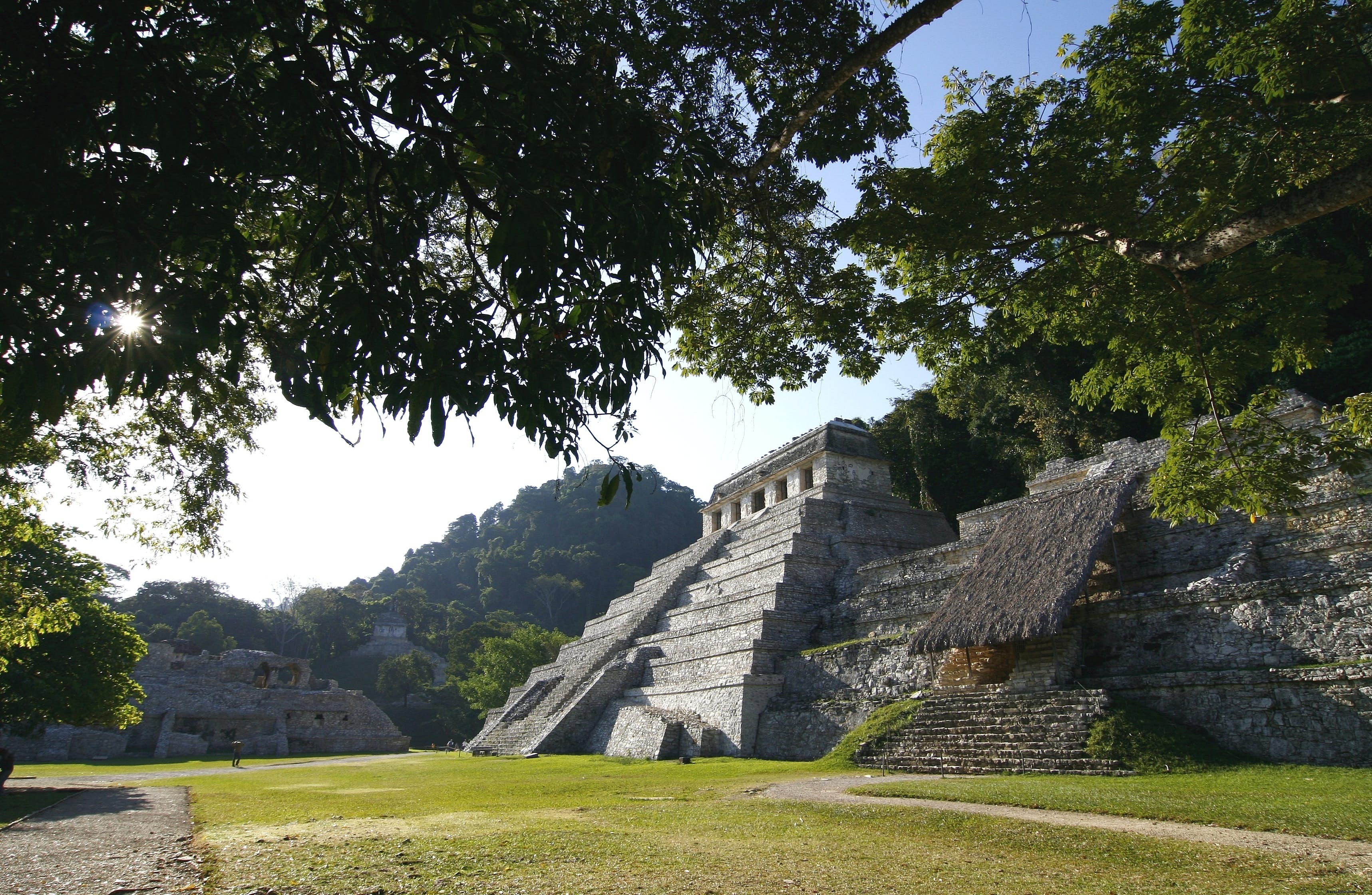 Palenque Ruins: Exploring Ancient Maya Masterpieces Amid Lush Jungle