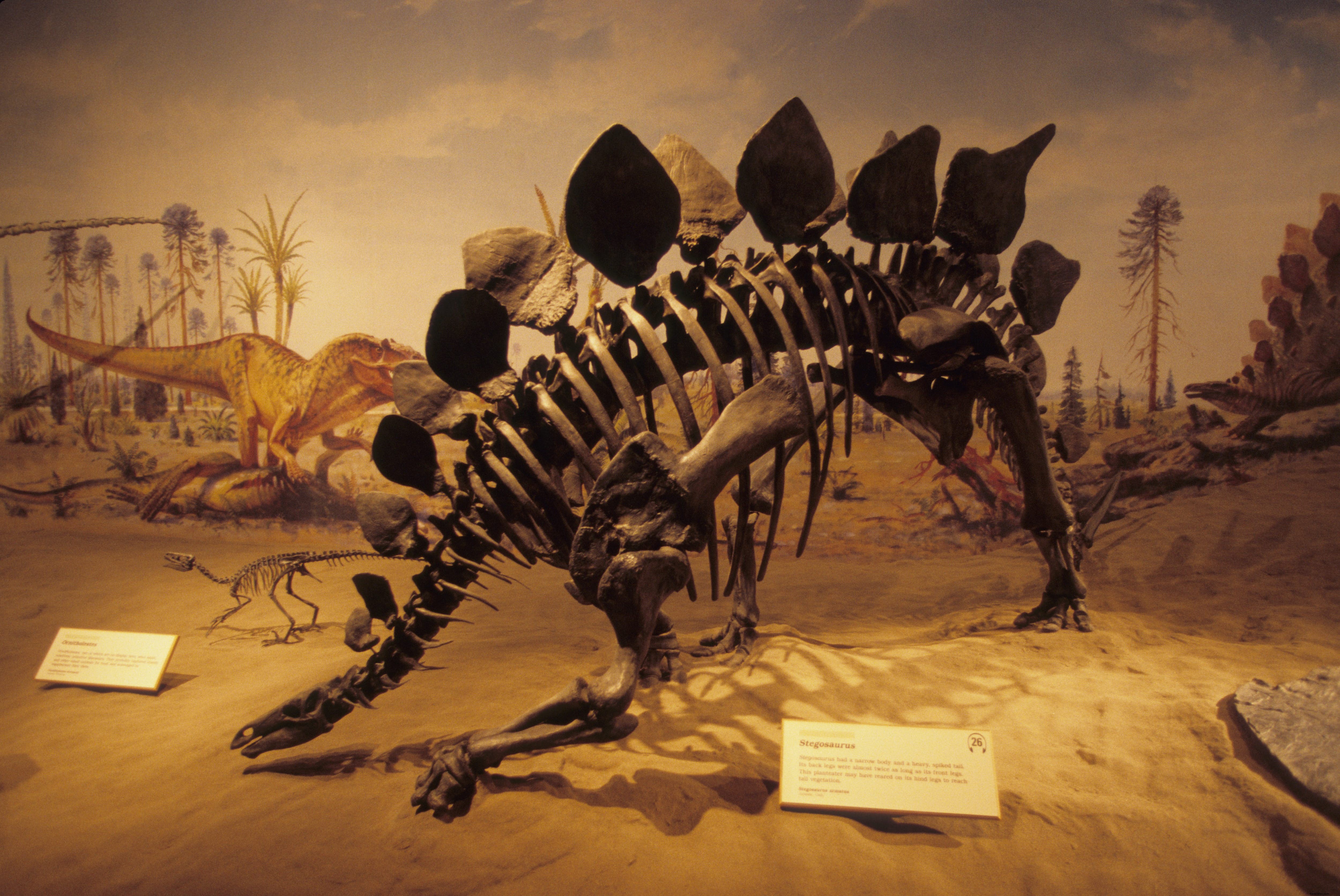 Royal Tyrrell Museum of Palaeontology: Canada s Premier Dinosaur Destination