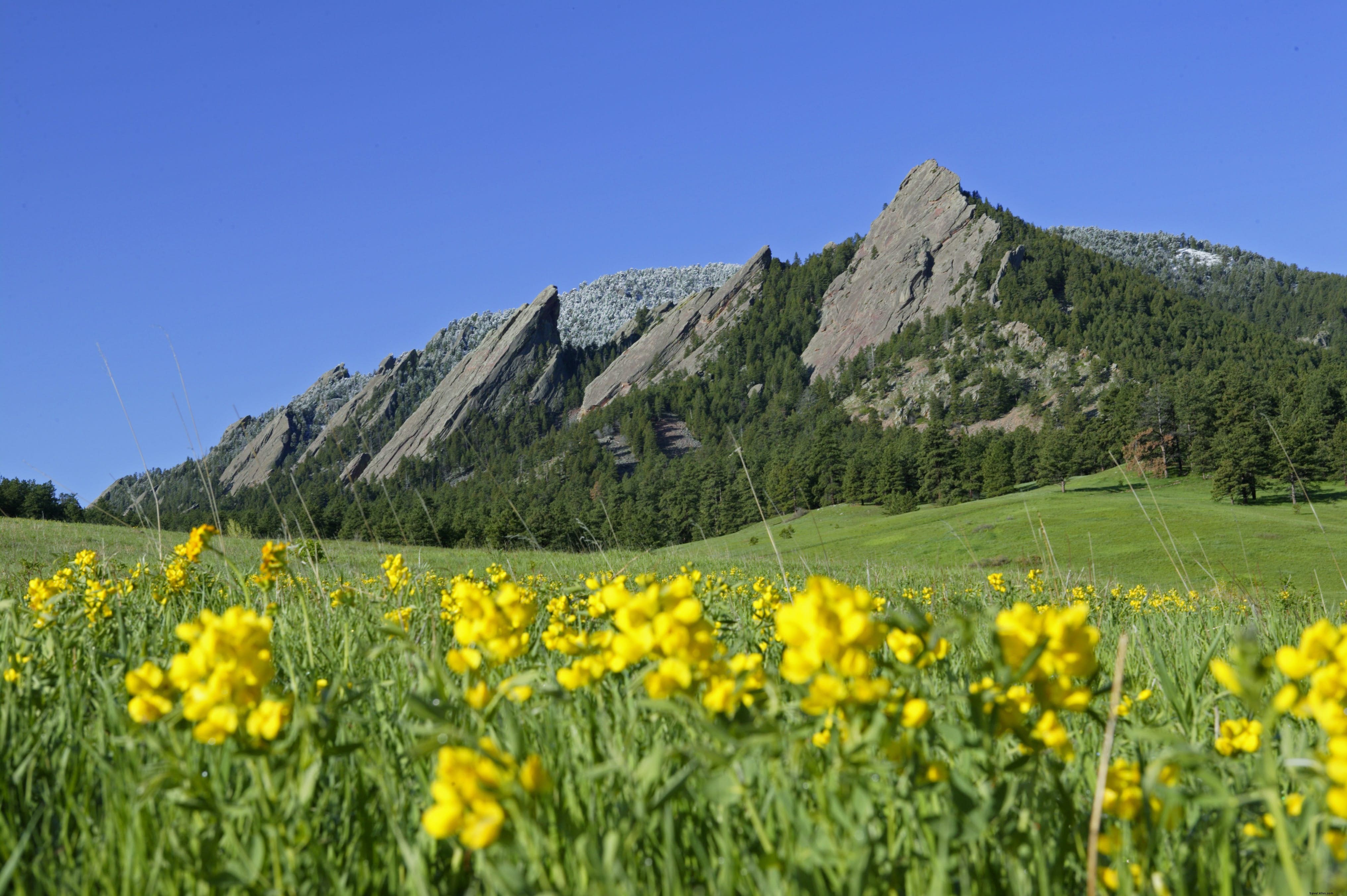 Chautauqua Park: Boulder s Historic Gateway to the Flatirons and Outdoor Adventures
