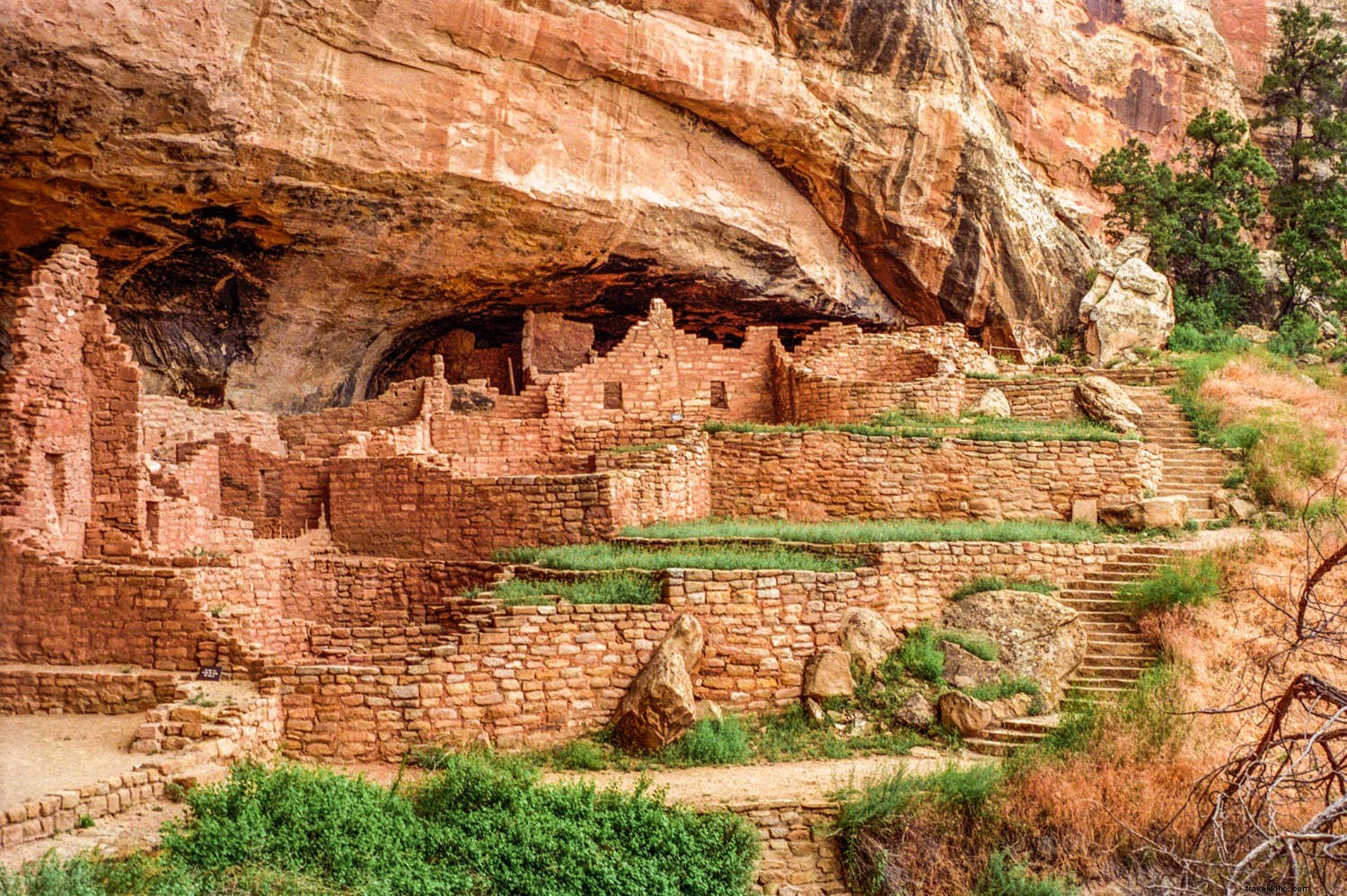 Explore Cliff Palace: Mesa Verde s Largest Cliff Dwelling on Ranger-Led Tours