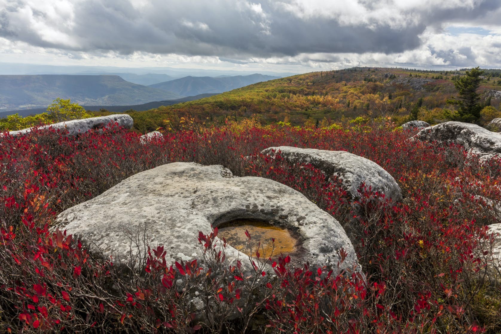 Explore Dolly Sods Wilderness: Stunning Trails, Alpine Views & Camping in West Virginia