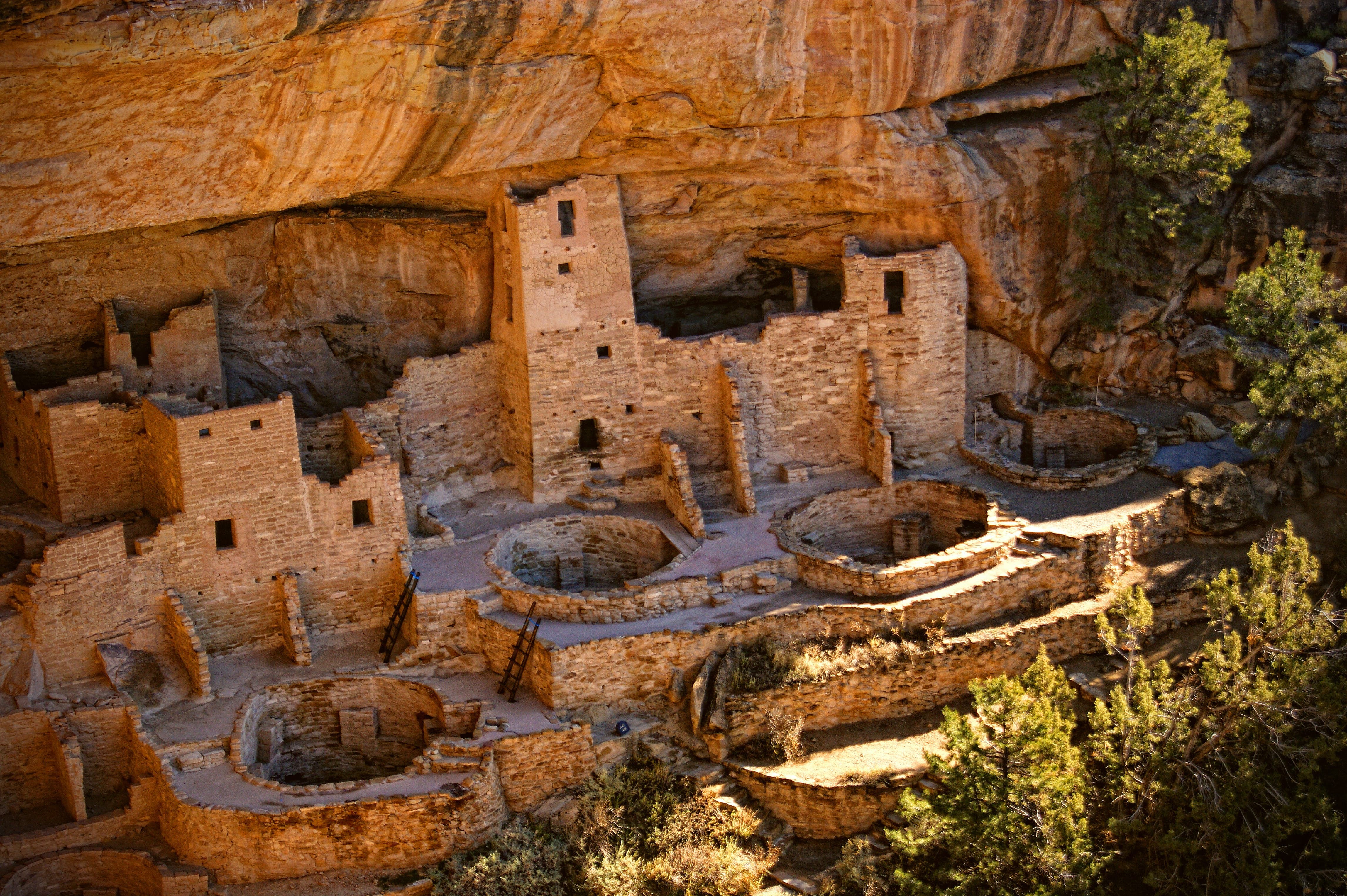 Explore Mesa Verde National Park: Ancient Cliff Dwellings, Cultural Heritage, and Outdoor Adventures