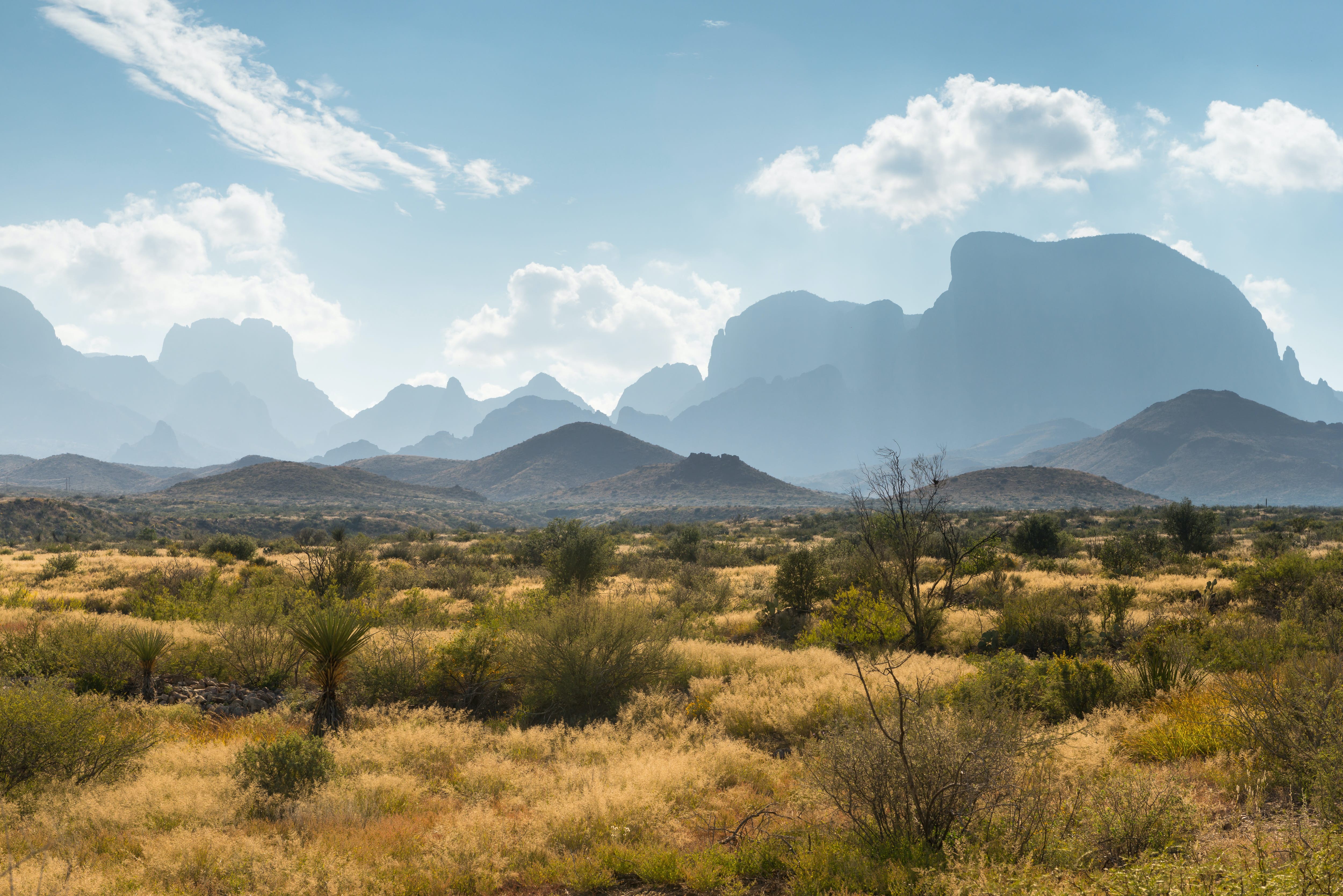 Big Bend National Park: Vast Wilderness and Iconic Hiking Trails