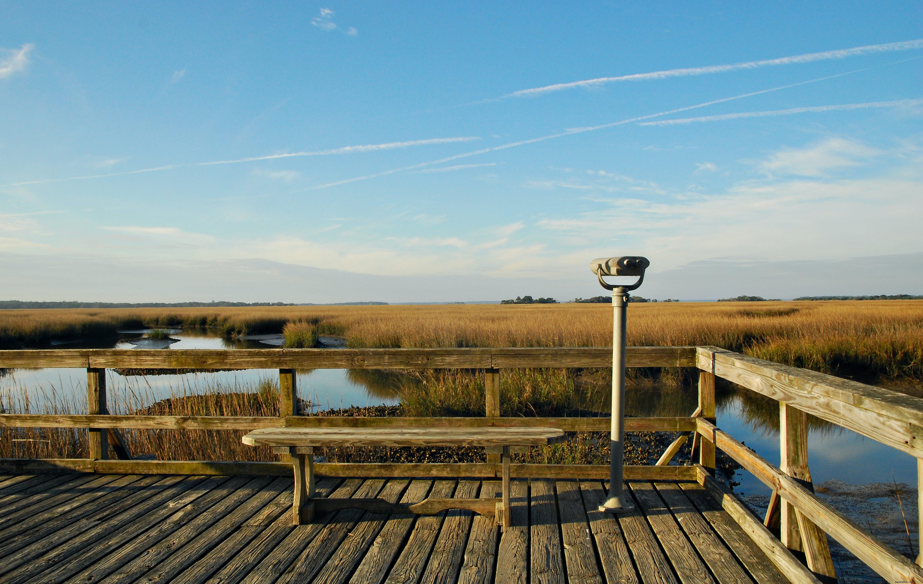 Cumberland Island National Seashore: Georgia s Untouched Barrier Island Paradise