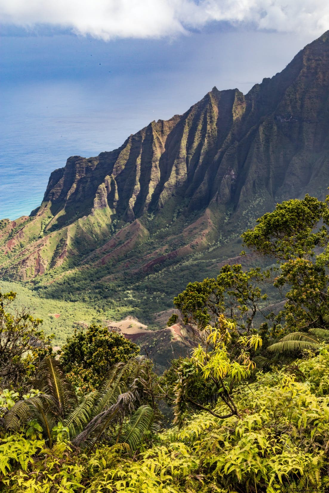Na Pali Coast State Wilderness Park: Kauaʻi s Dramatic Coastal Gem