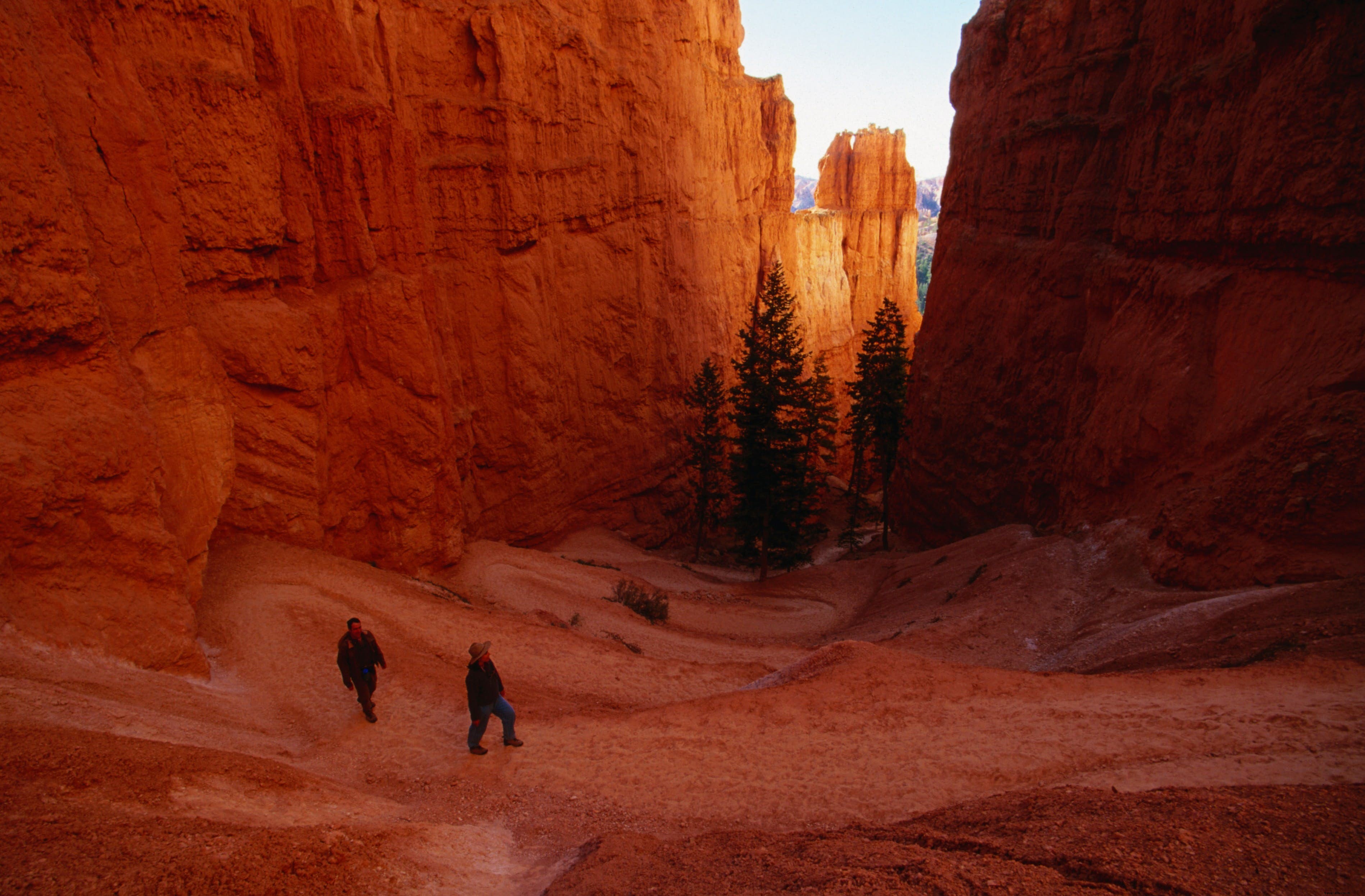 Bryce Canyon National Park: The Majestic Pink Cliffs and Iconic Hoodoos