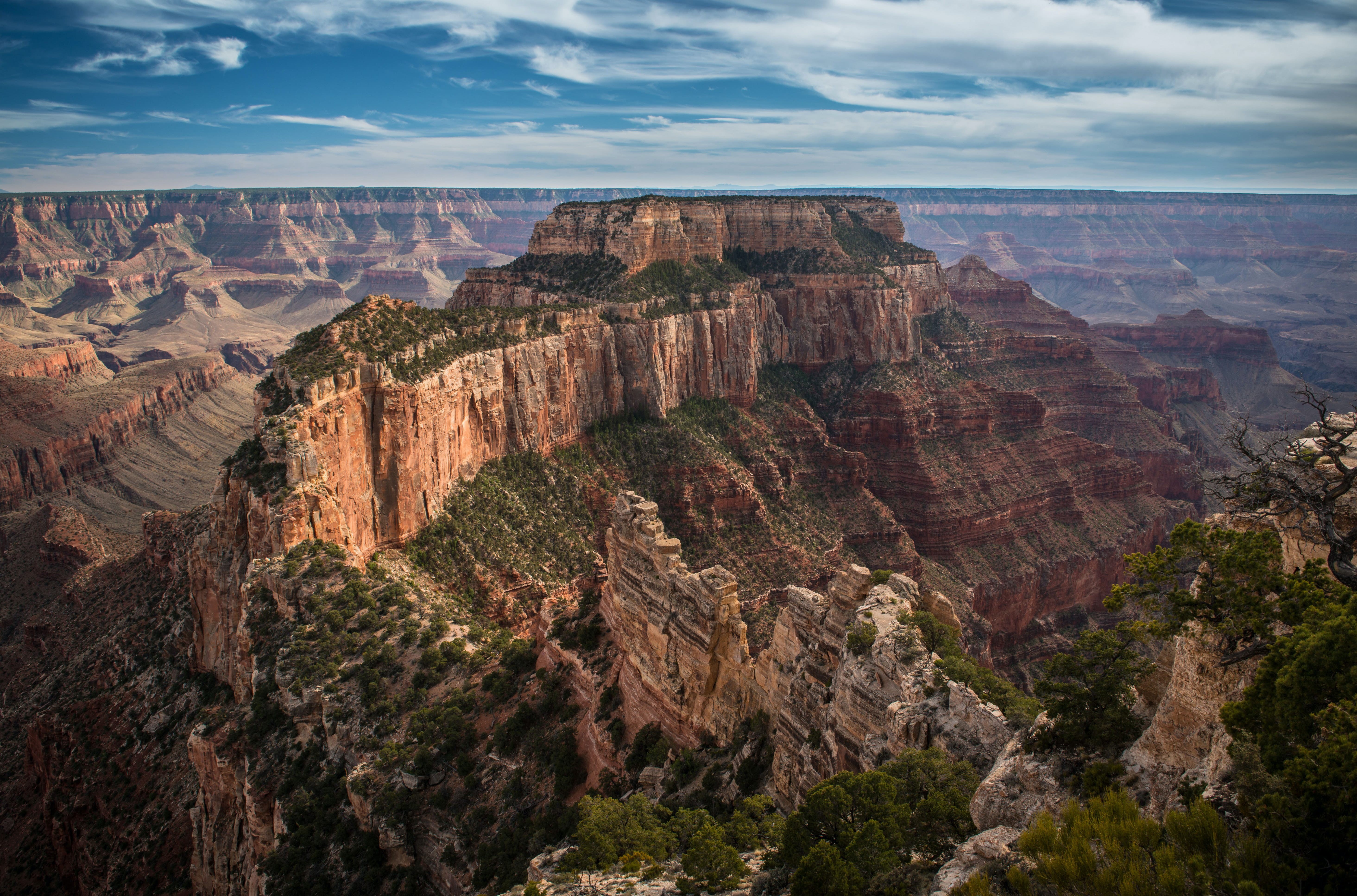 Grand Canyon North Rim: Discover the Remote, Wild Side of the National Park