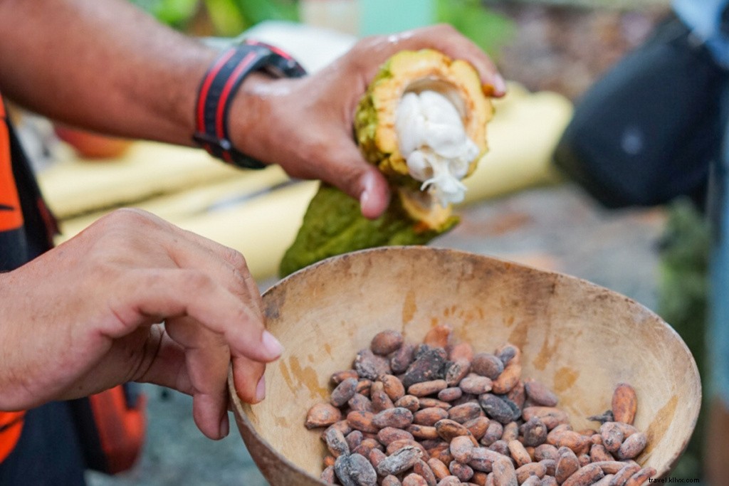 Tasha Dahl s Expert Guide to Punta Cana: Hard Rock Hotel, Pristine Beaches & Cultural Adventures