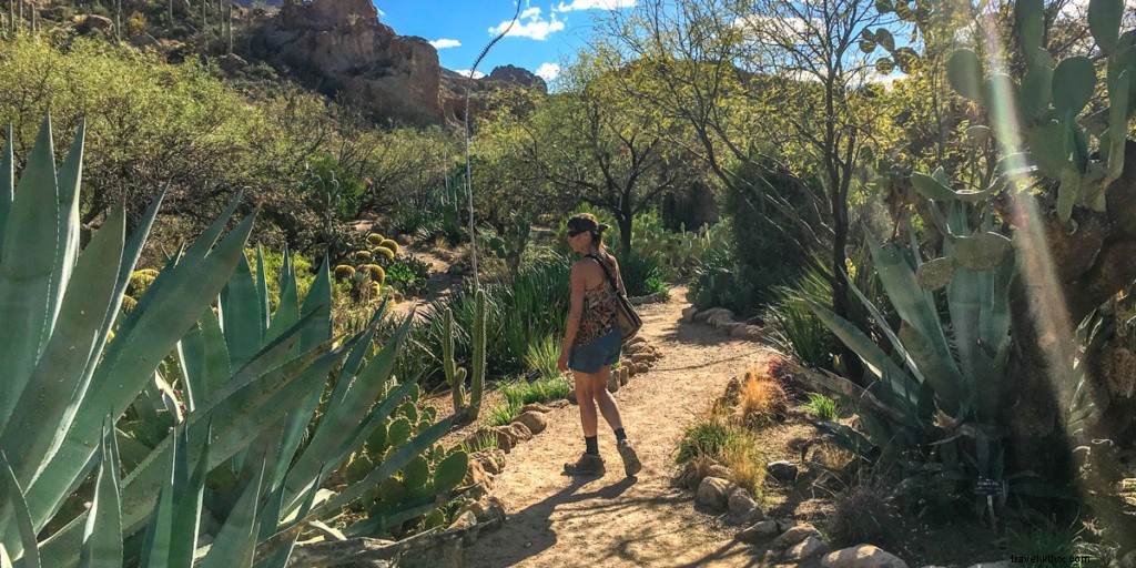 Ultimate Guide to Phoenix, Arizona: Top Attractions and Activities