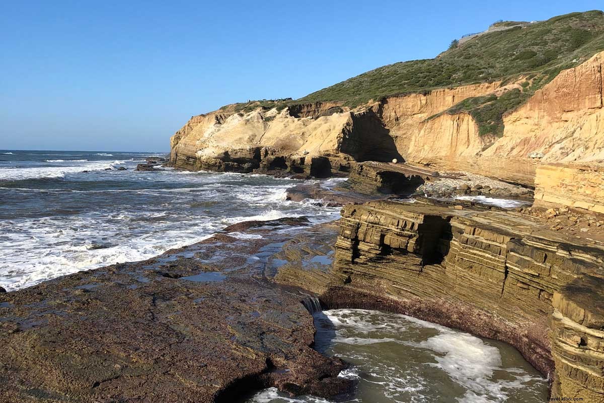 Explore San Diego s Best Neighborhoods: A Local Guide to Hillcrest, La Jolla & More