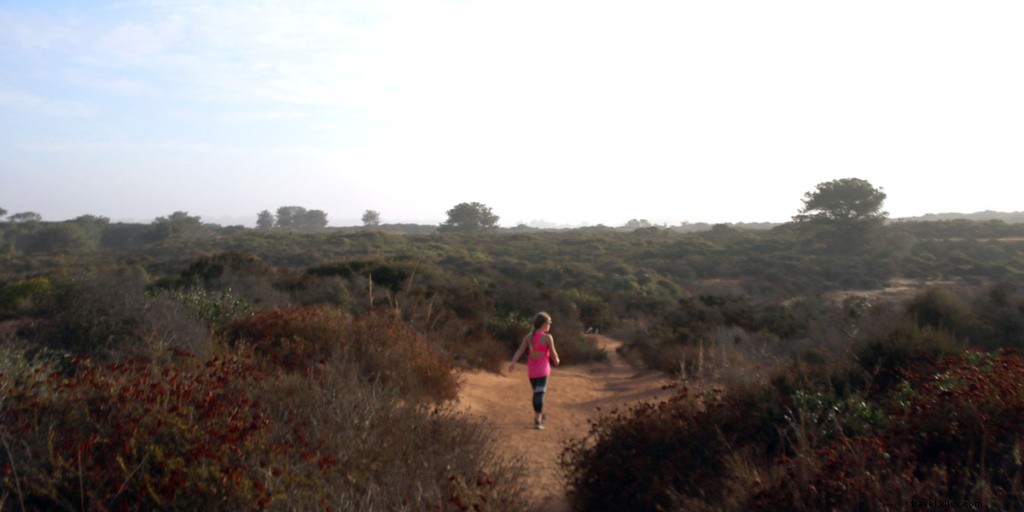 Ultimate 72-Hour Family Itinerary in San Diego with Kids