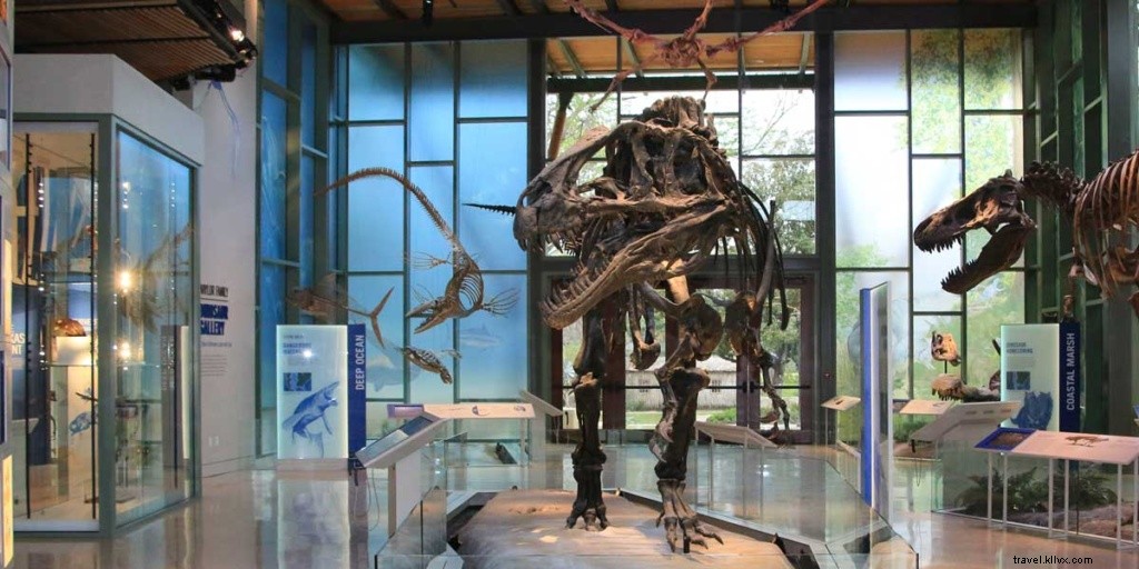 6 Lesser-Known Family-Friendly Destinations for Crowd-Free Adventures with Sun Country