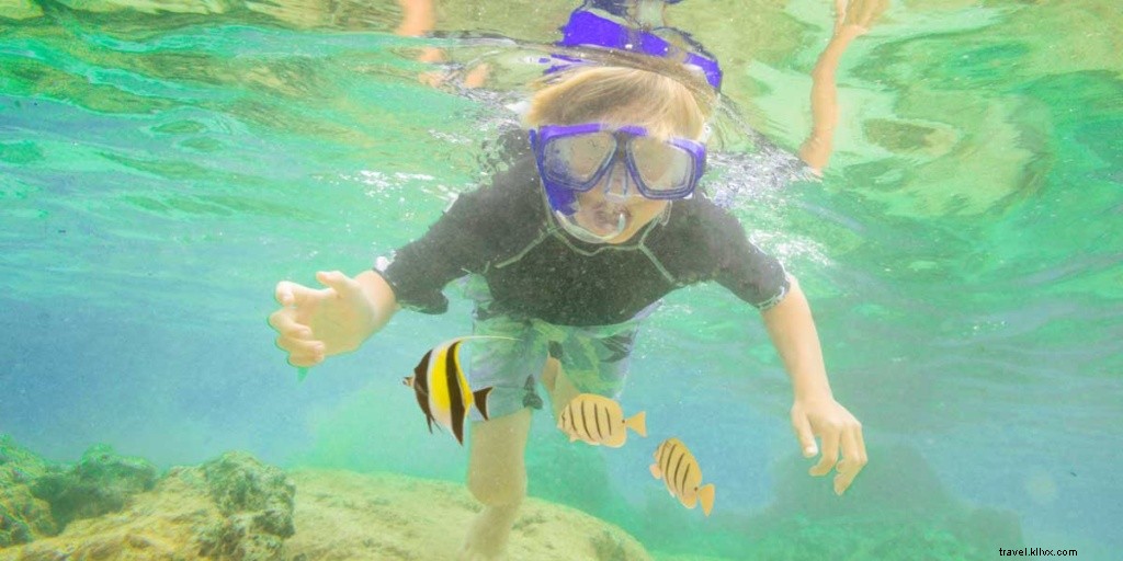 Ultimate 6-Day Oahu Itinerary: Top Things to Do on Hawaii s Gathering Place