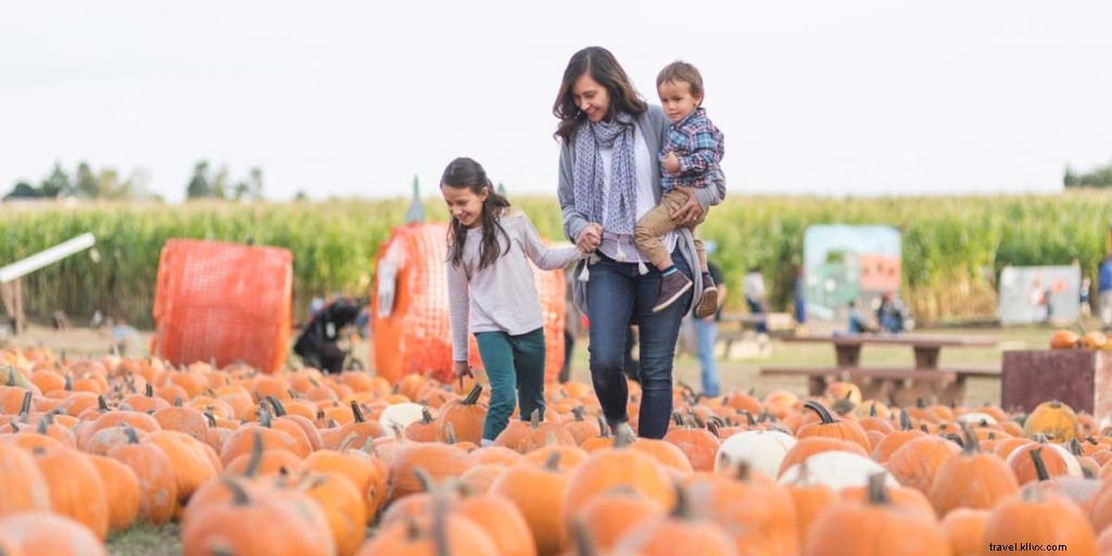 Top 10 U.S. Destinations for Stunning Fall Foliage