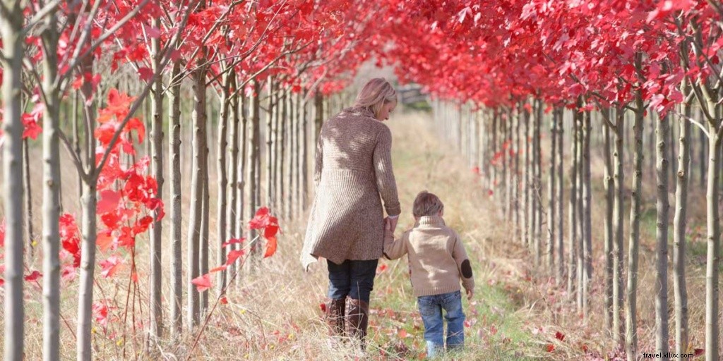 Top 10 U.S. Destinations for Stunning Fall Foliage