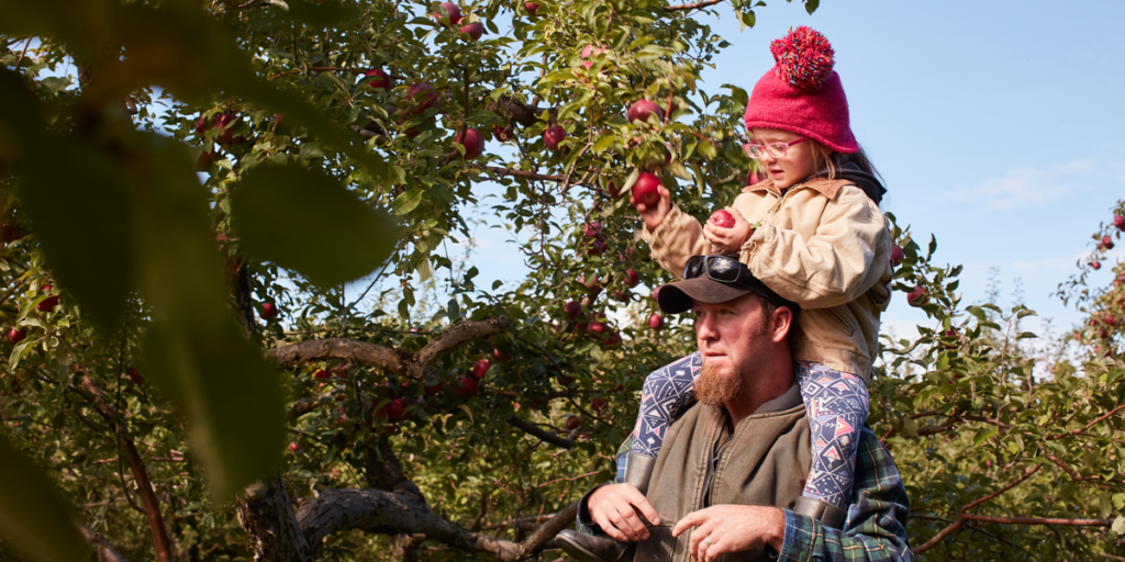 Top 10 U.S. Destinations for Stunning Fall Foliage