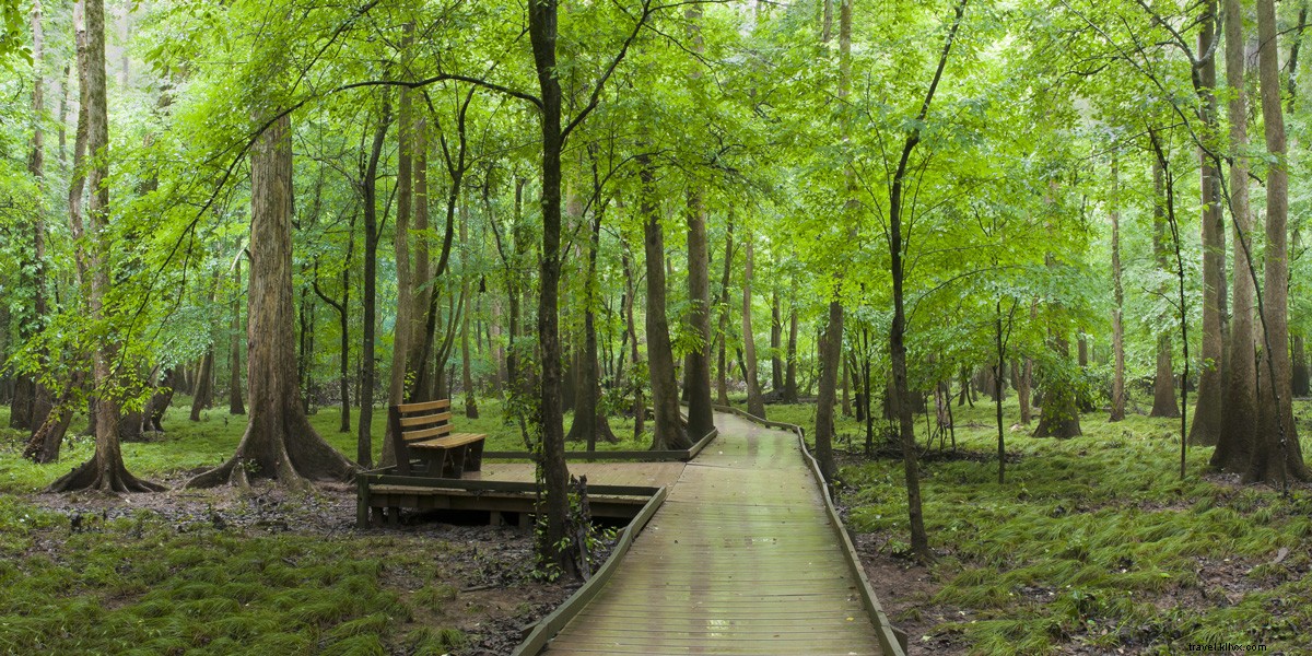 Ultimate Guide: Top National Park Sites Near Every Sun Country U.S. Destination