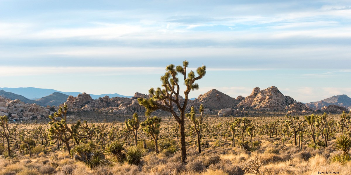 Ultimate Guide: Top National Park Sites Near Every Sun Country U.S. Destination