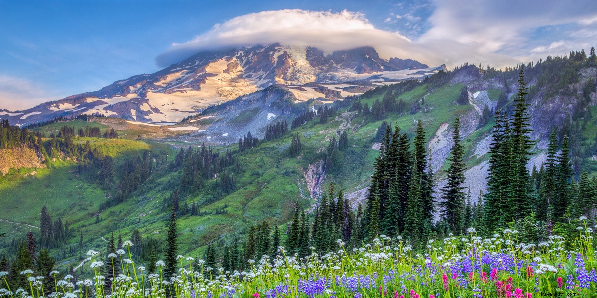 Ultimate Guide: Top National Park Sites Near Every Sun Country U.S. Destination