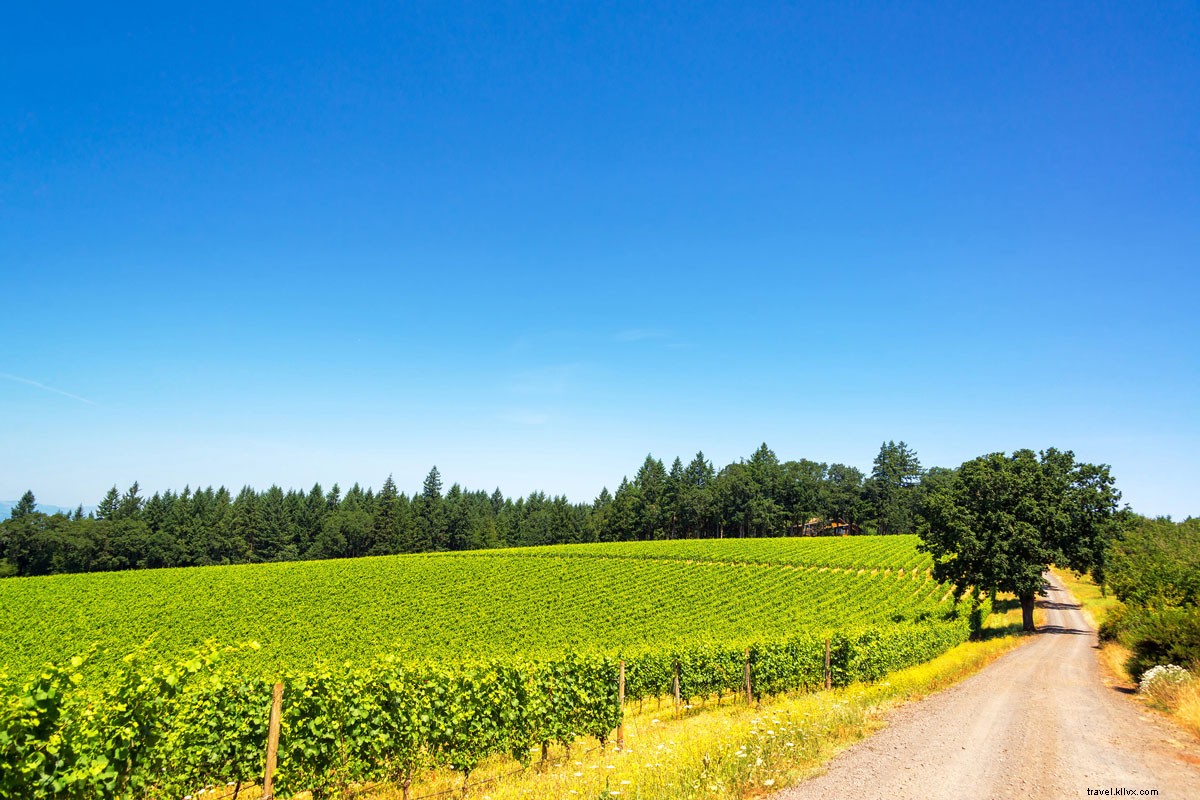 Willamette Valley: Oregon s World-Class Wine Country Beyond Napa