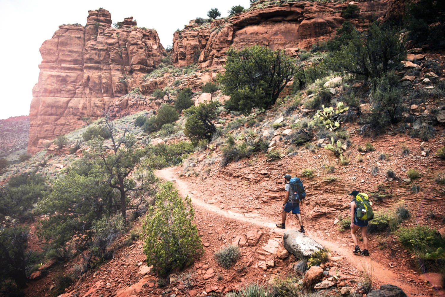 Top 10 Best Hiking Trails in Phoenix: Ultimate Guide for Outdoor Enthusiasts