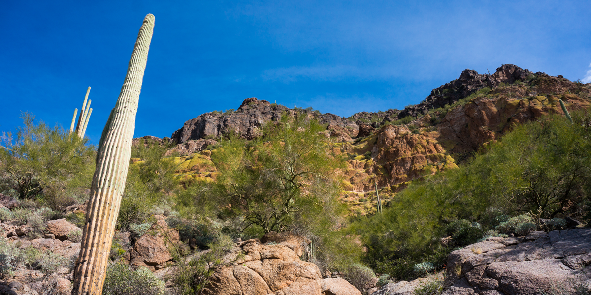 Top 10 Best Hiking Trails in Phoenix: Ultimate Guide for Outdoor Enthusiasts