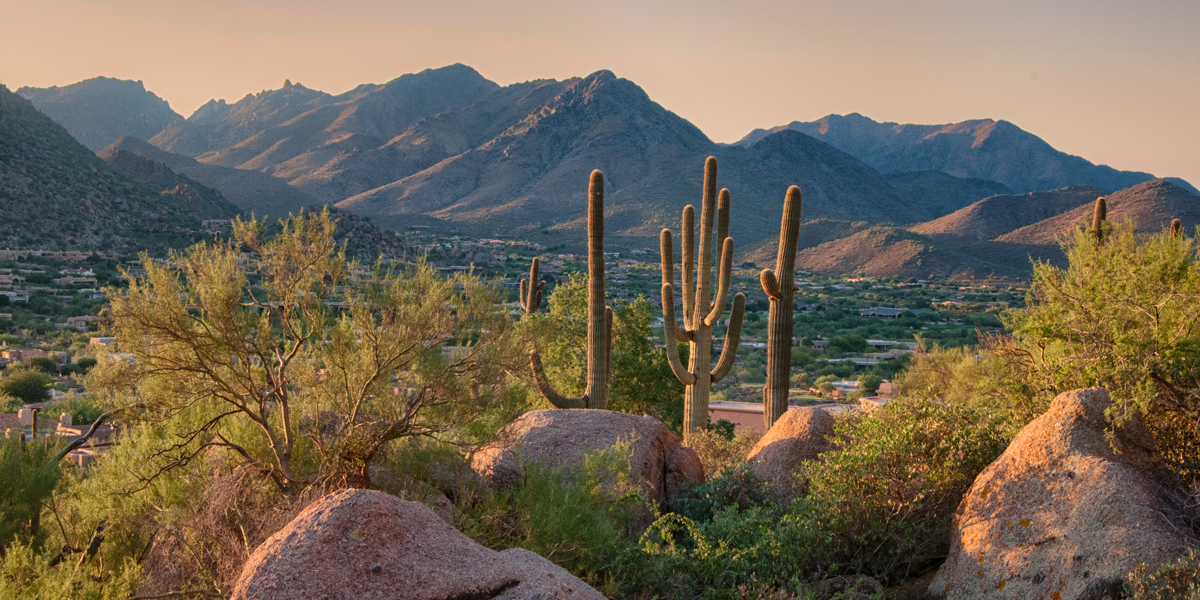 Top 10 Best Hiking Trails in Phoenix: Ultimate Guide for Outdoor Enthusiasts